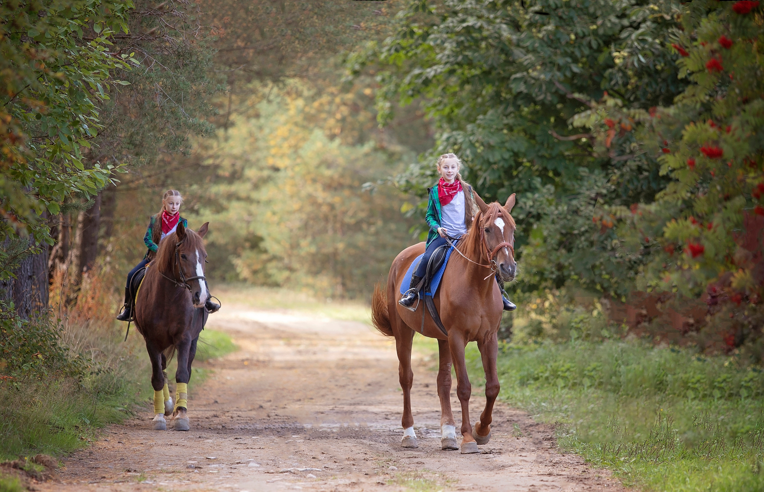 Фотосессии с лошадьми. ДЕТСКИЙ И СЕМЕЙНЫЙ ФОТОГРАФ в Сосново, Ленинградской области и Спб