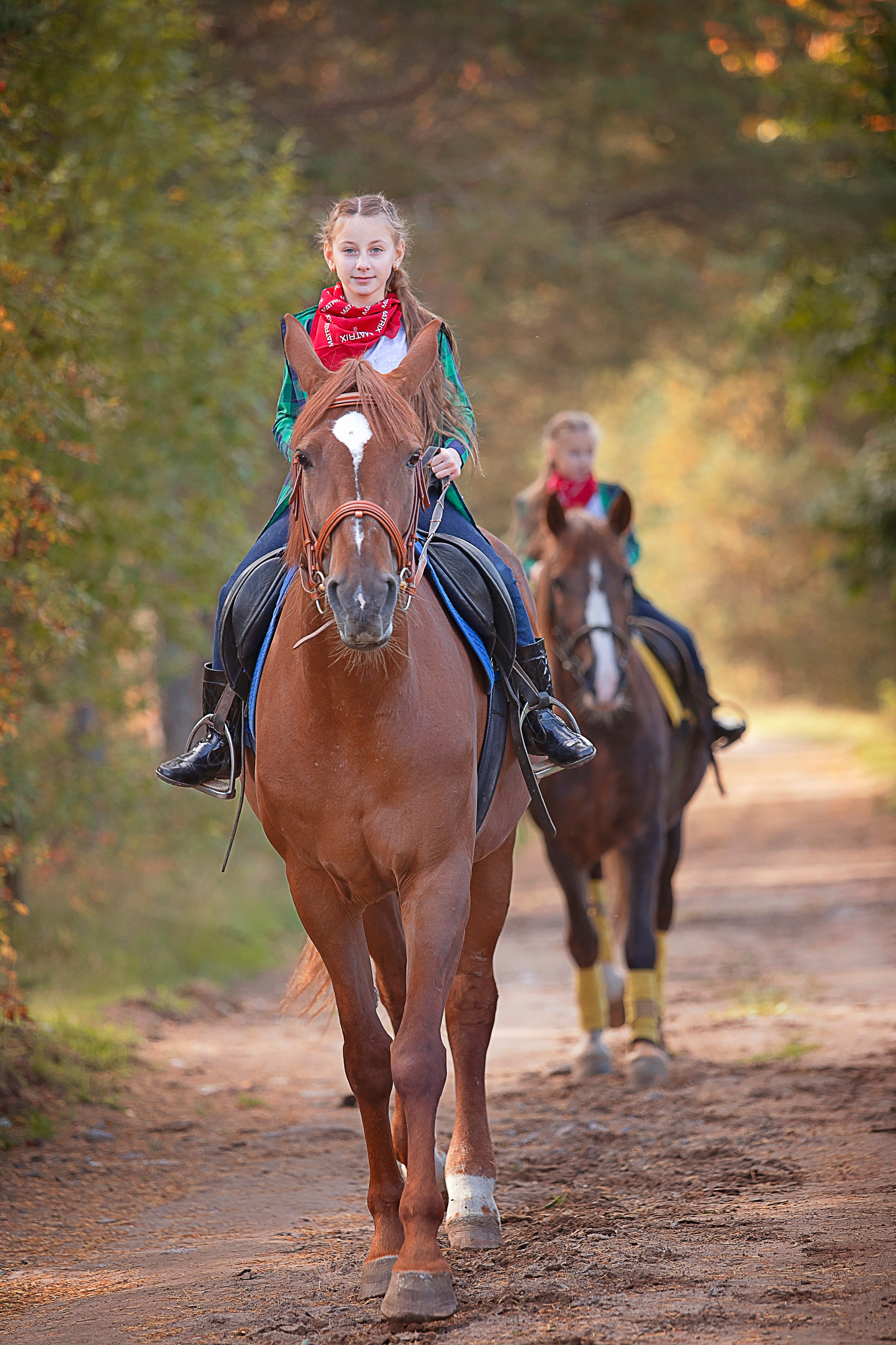 Фотосессии с лошадьми. ДЕТСКИЙ И СЕМЕЙНЫЙ ФОТОГРАФ в Сосново, Ленинградской области и Спб