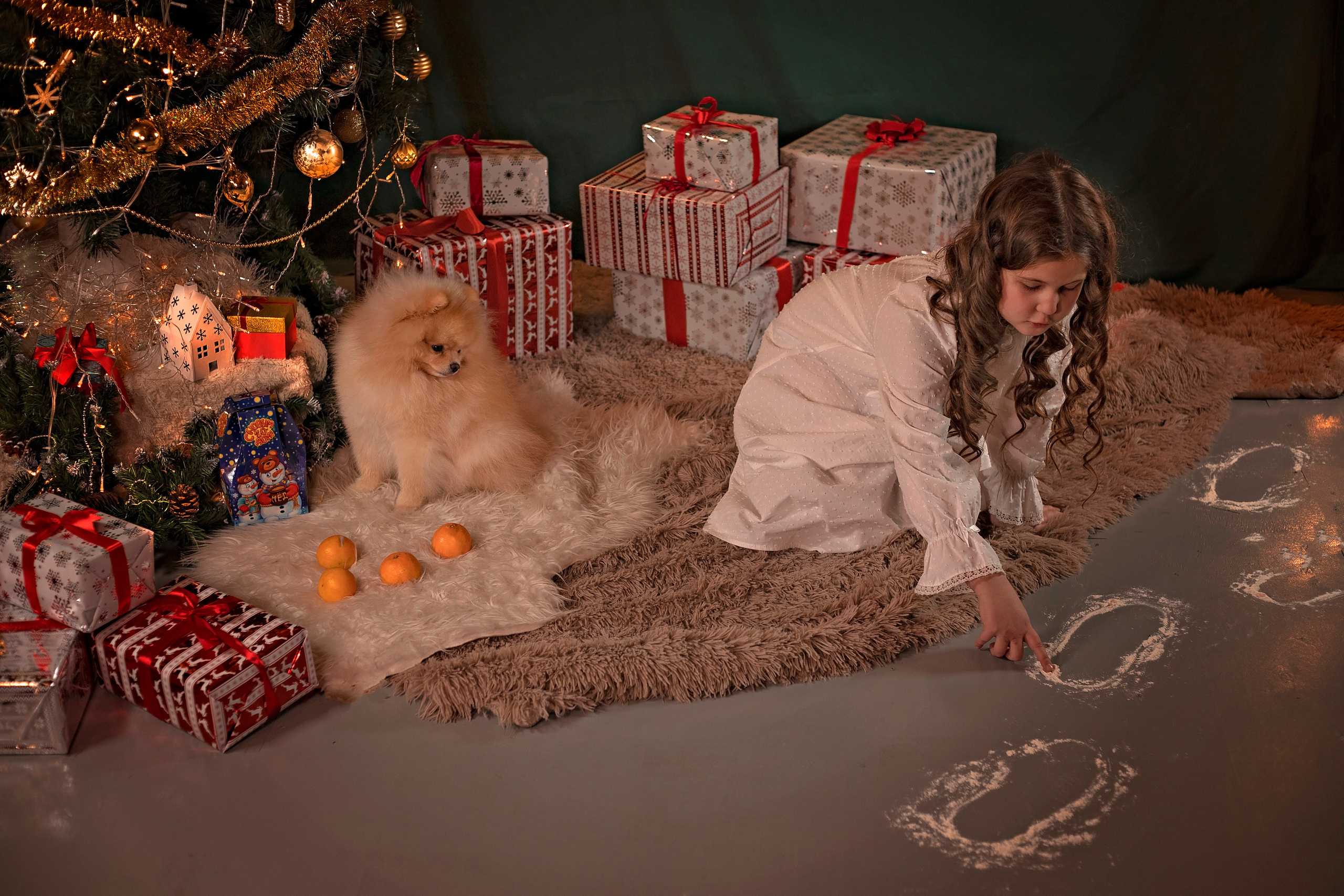 Сказка: Новогоднее чудо. ДЕТСКИЙ И СЕМЕЙНЫЙ ФОТОГРАФ в Сосново, Ленинградской области и Спб