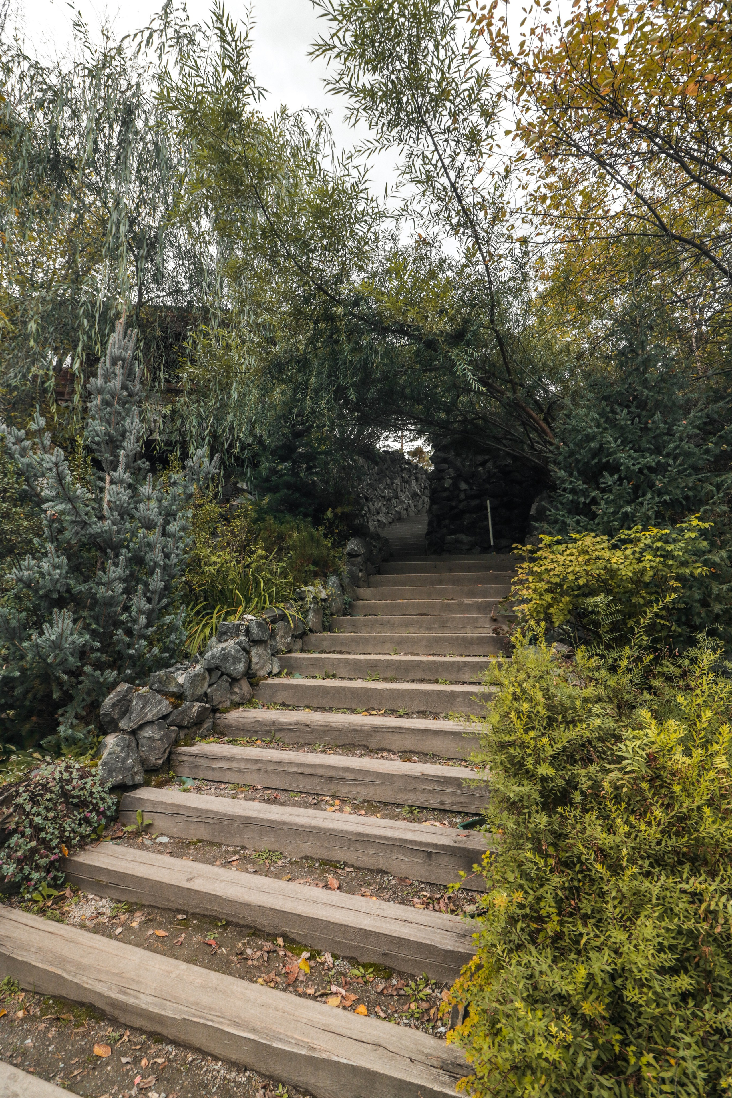 «Сад пионов» эко-отель, респ. Алтай. Контент фотограф Дмитрий Борисов