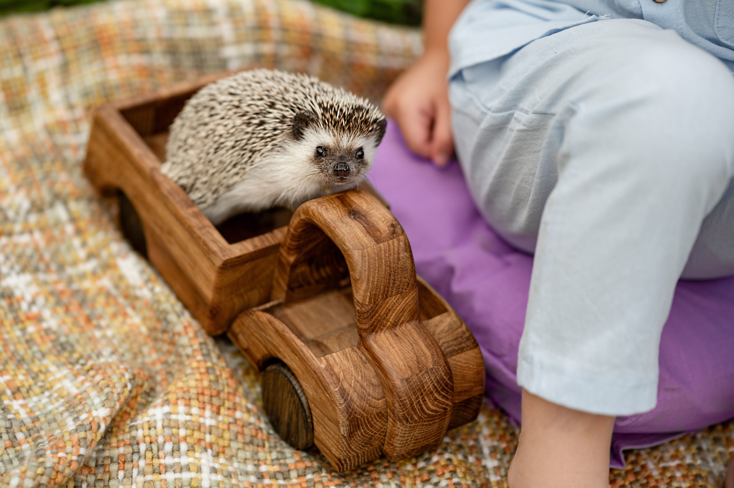фотосессия в лаванде  москва
