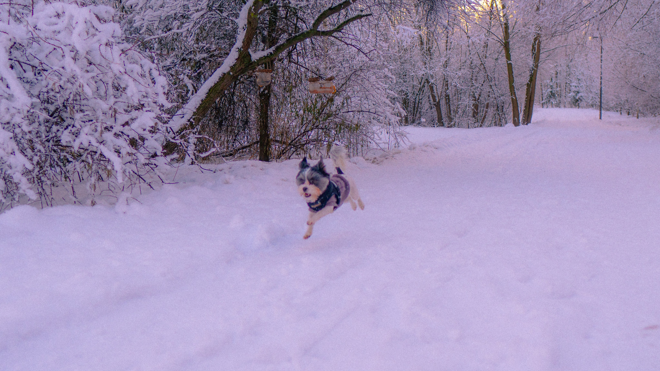 Зимняя сказка. Фёдор Малюгин. Ваш бади в визуале