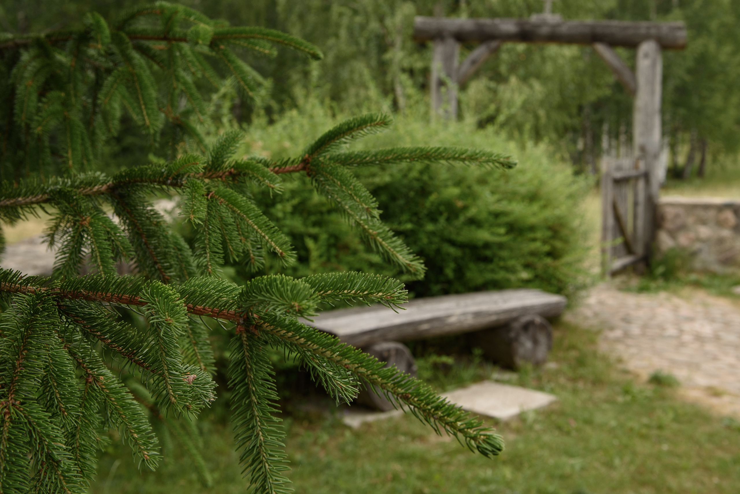 Прогулка по Минску. Анна Боровикова, фотограф Пушкино