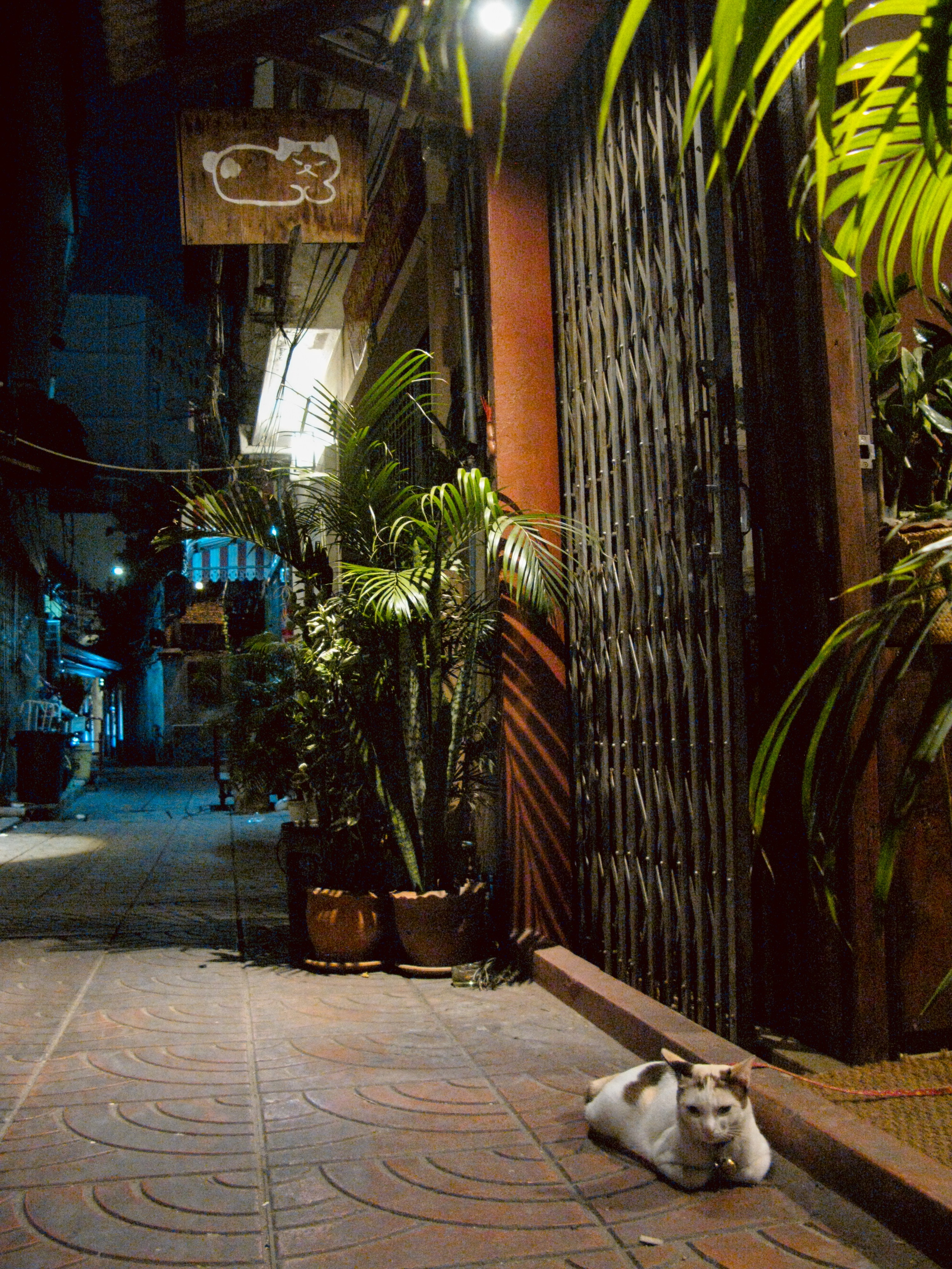 Thai. Фотограф Миланазавр