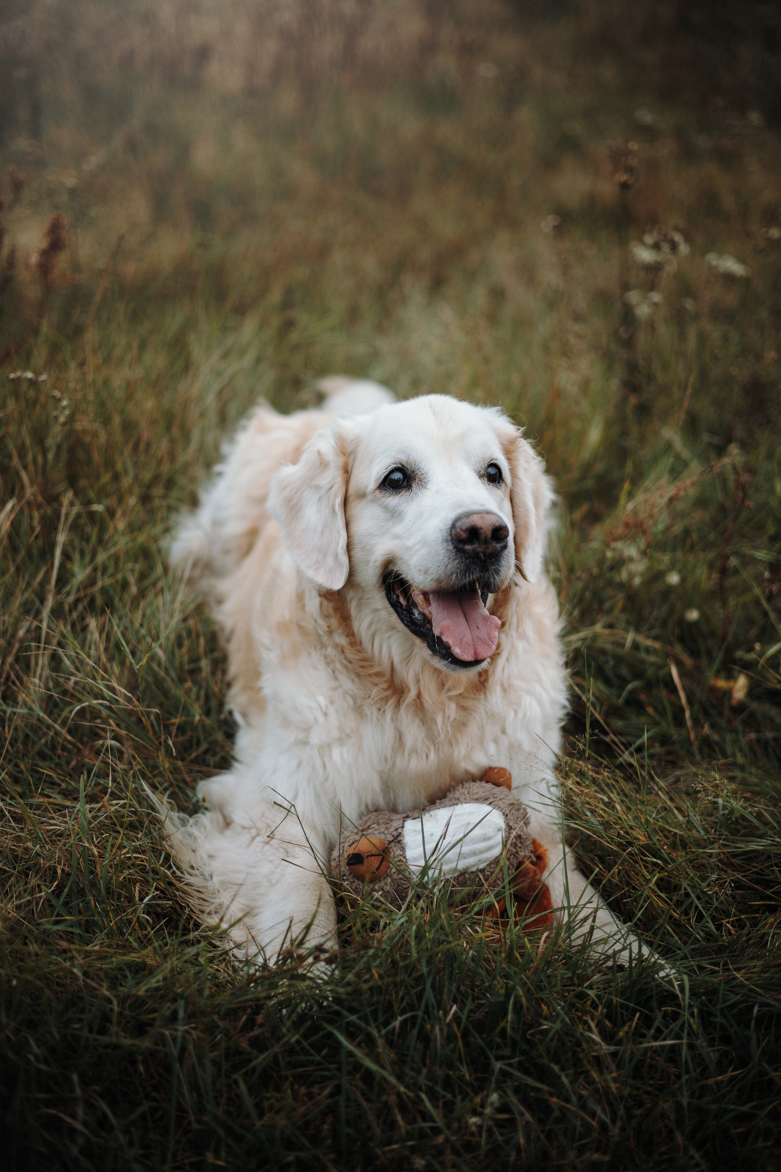 Света и Том. Фотограф — Анималист | Санкт-Петербург
