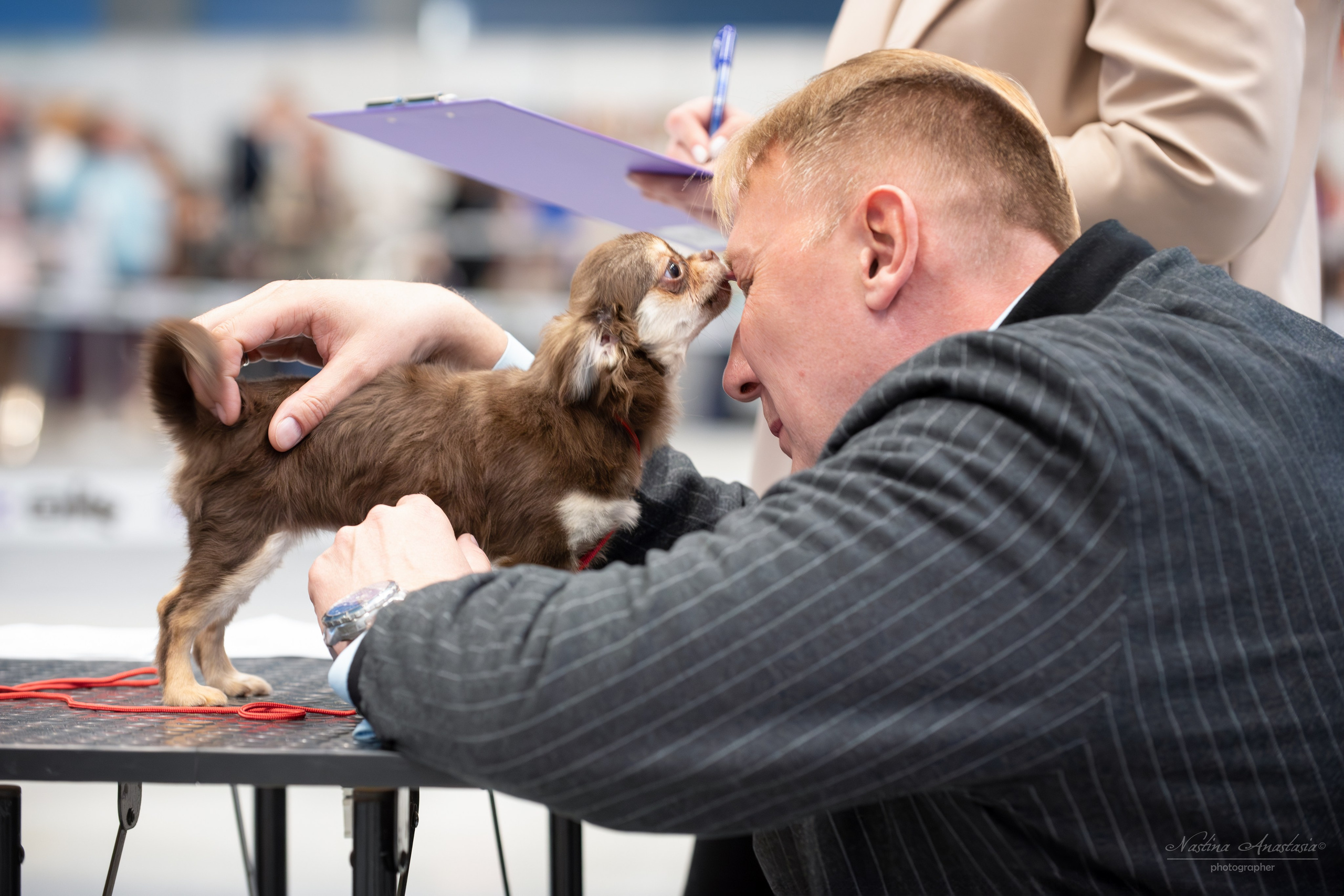 Выставки. Фотограф — Анималист