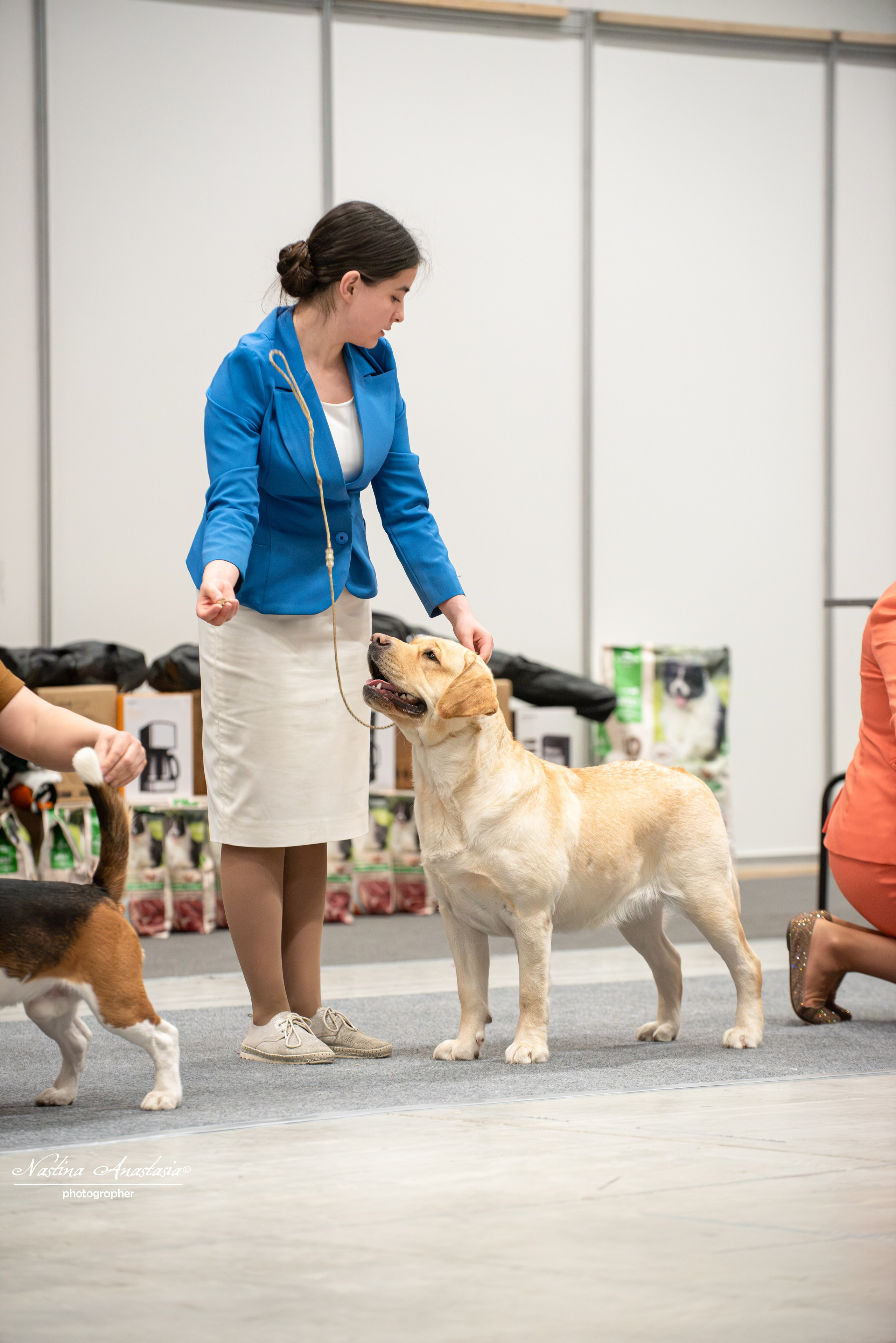 Выставки. Фотограф — Анималист