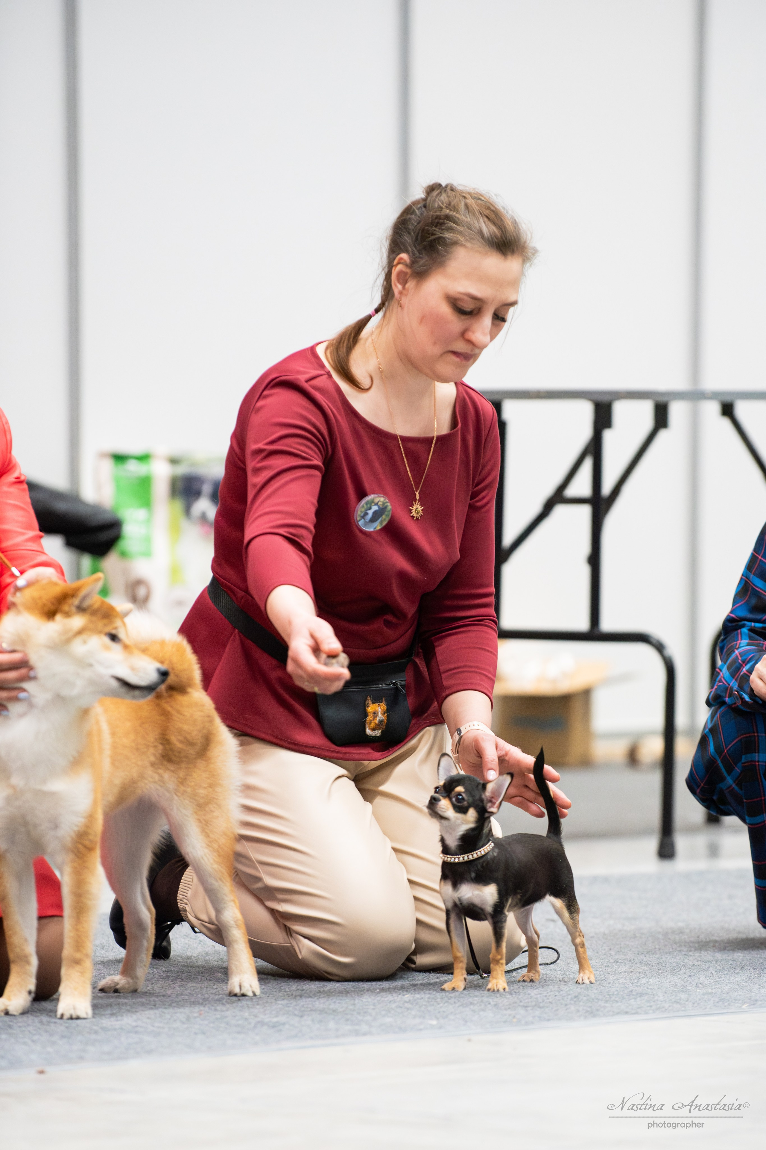 Выставки. Фотограф — Анималист