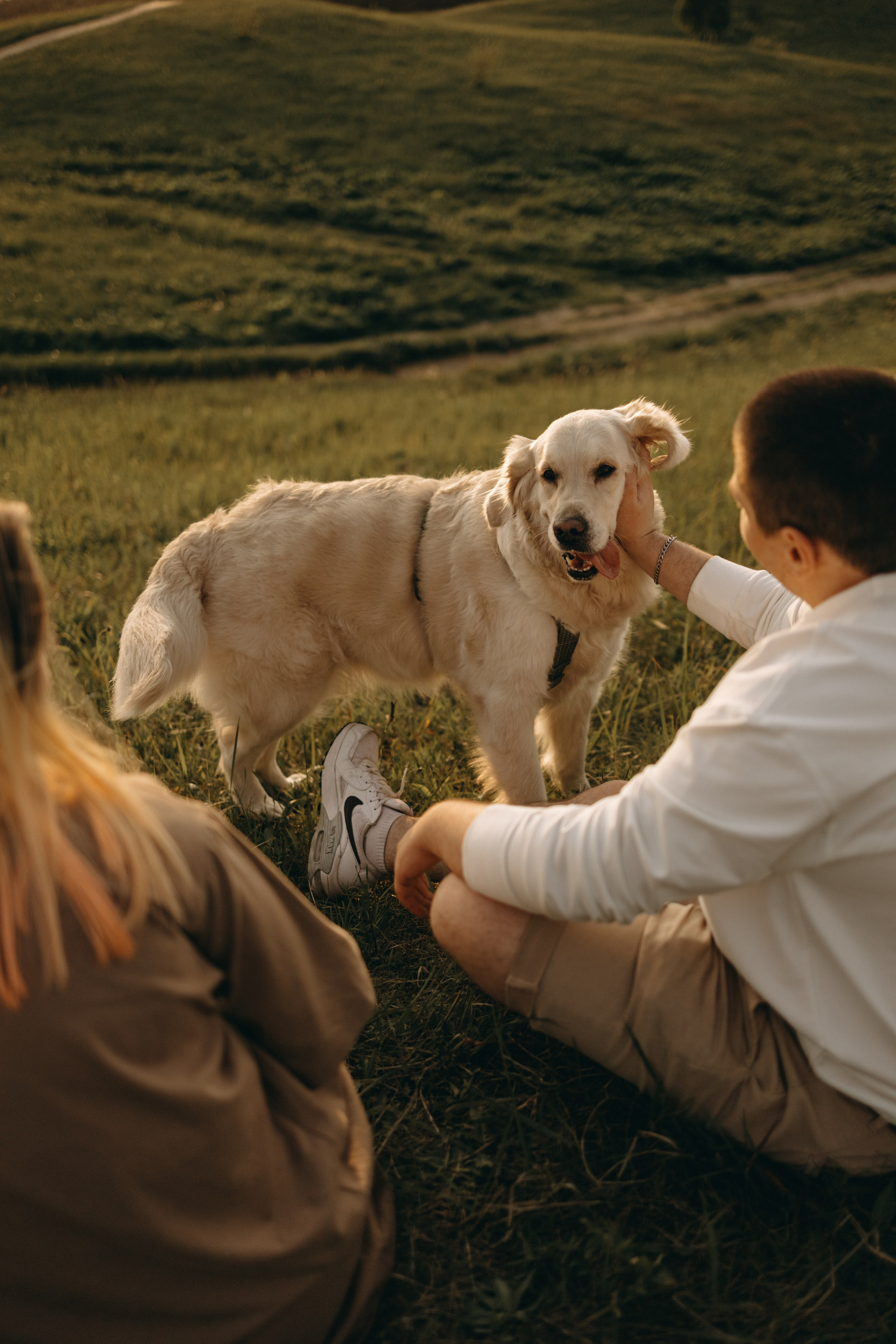Милка и ребята. Фотограф — Анималист | Санкт-Петербург