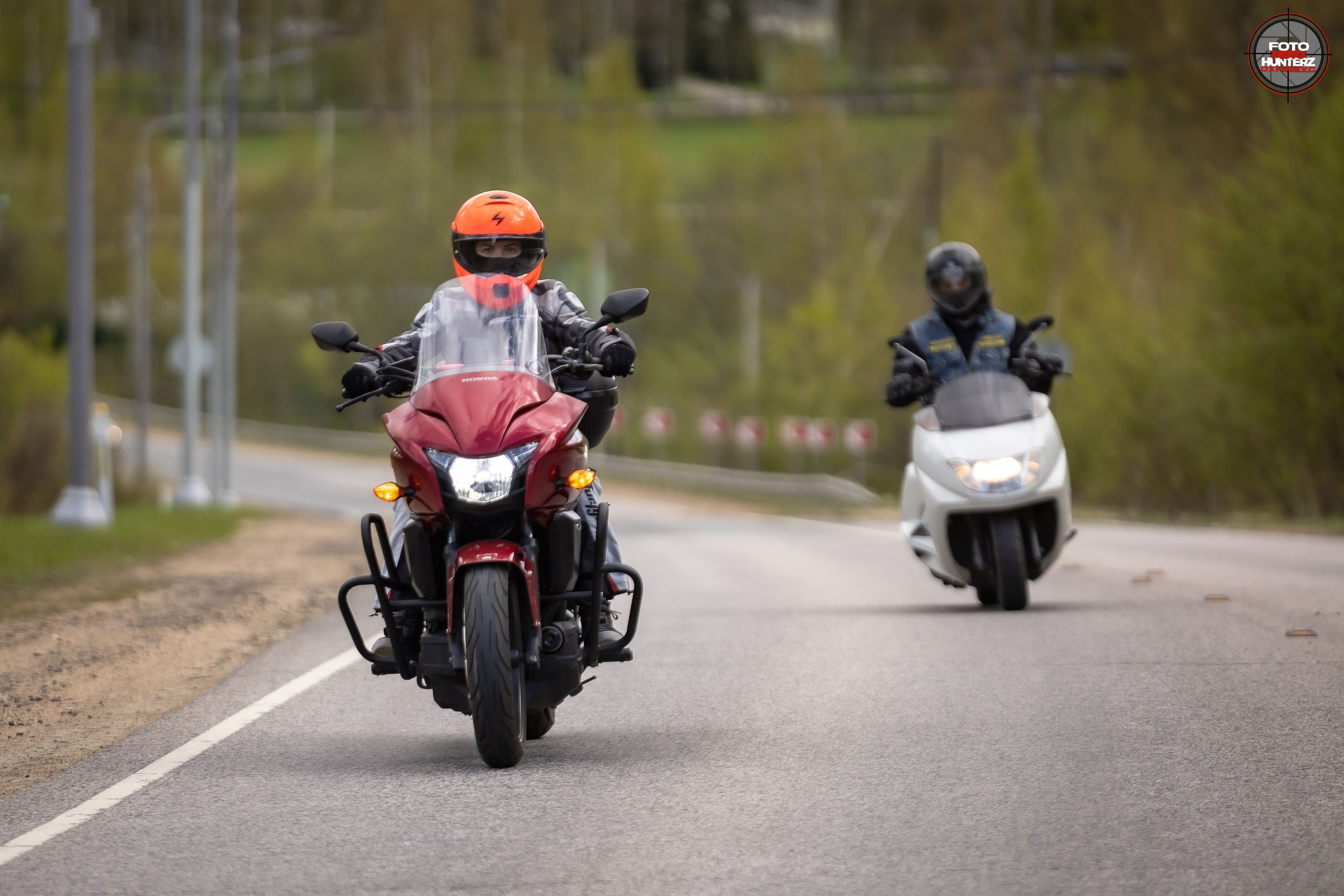 Первое Сафари в 2025 г. на Рогачевском ш. Фотограф Владимир Охрименко