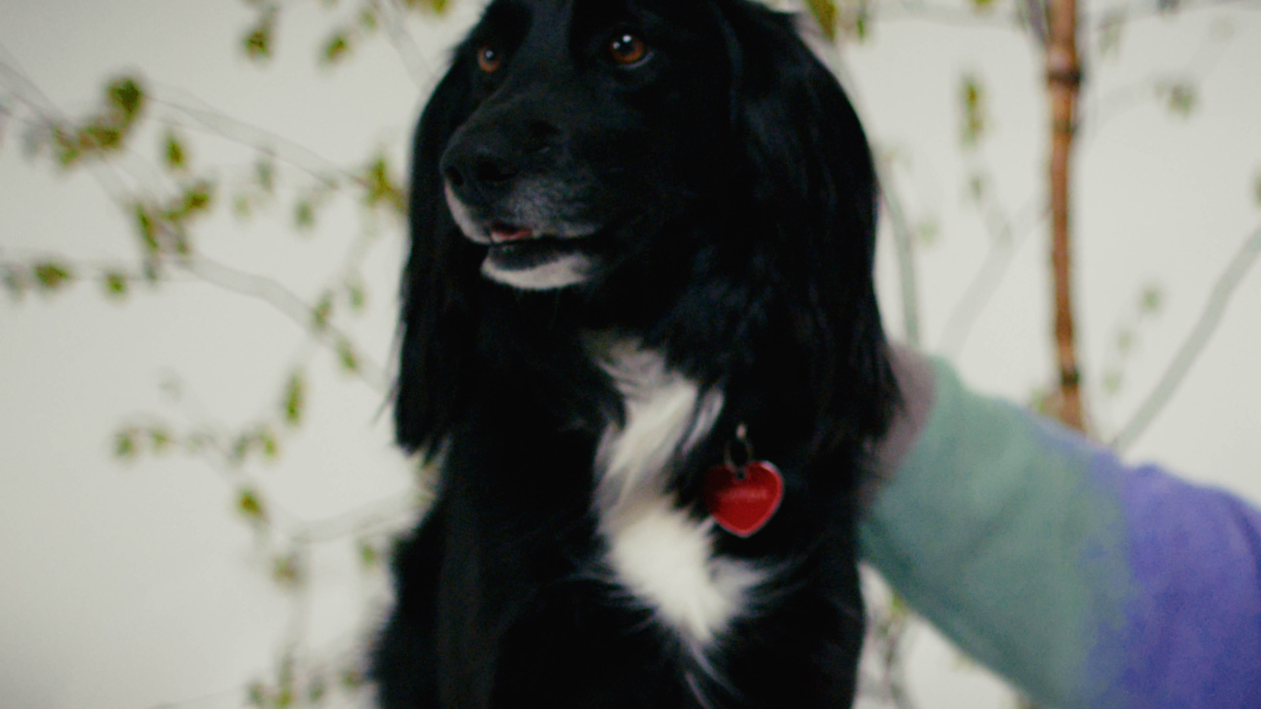 Проект «Помощь». Александр Попов