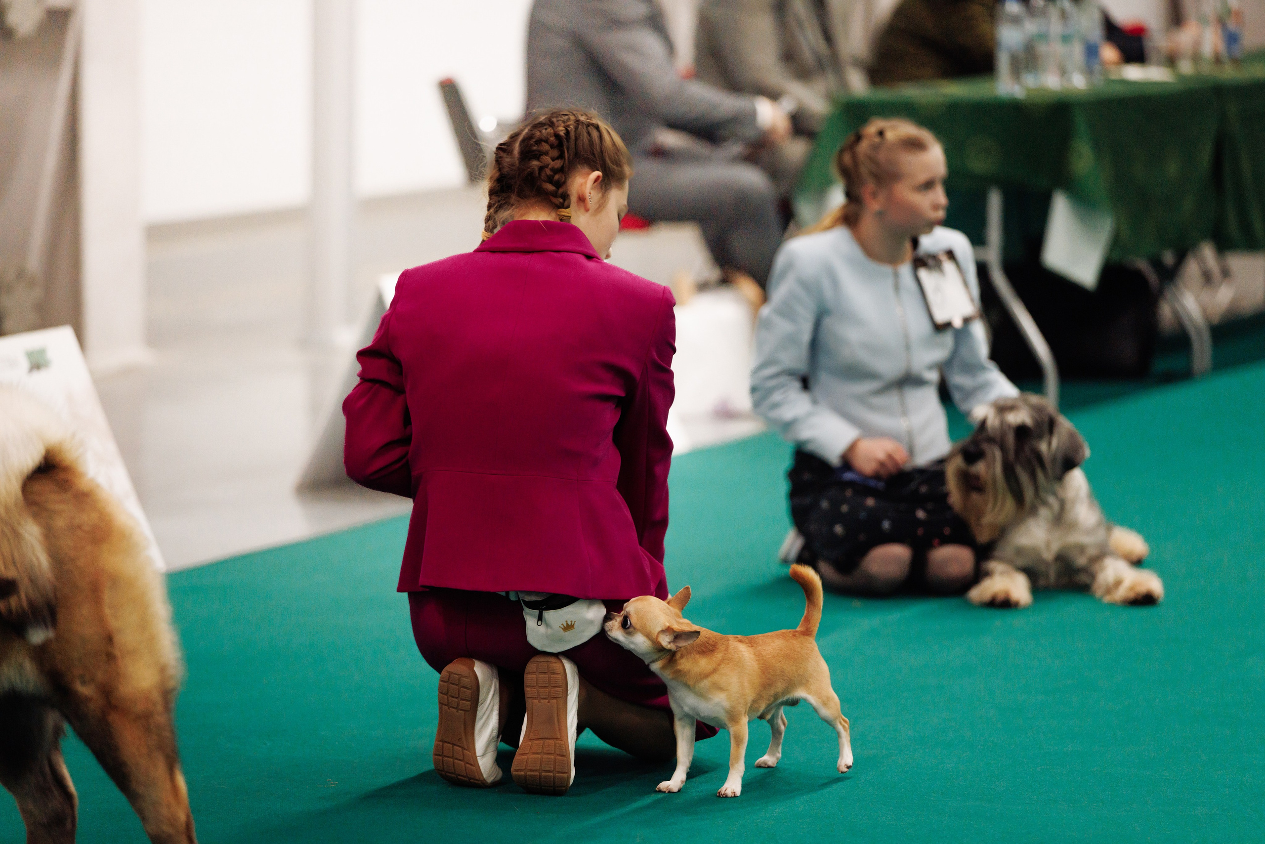 29-30.11.2025 — Казань «Зилант». Фотограф-анималист Саша Вязьмина