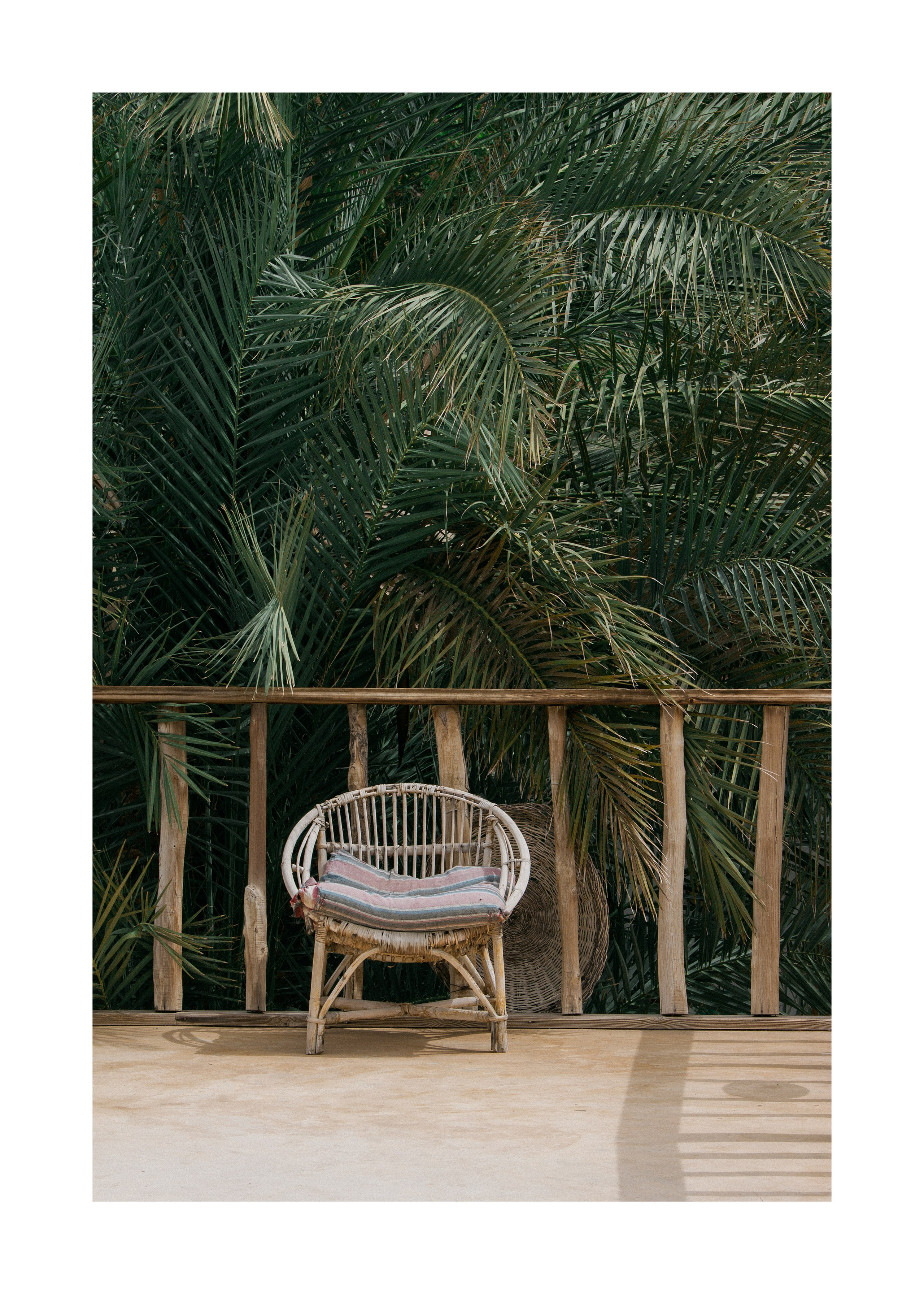 The outside world. Дария Галямова — фотограф: открытый, творческий, коммерческий