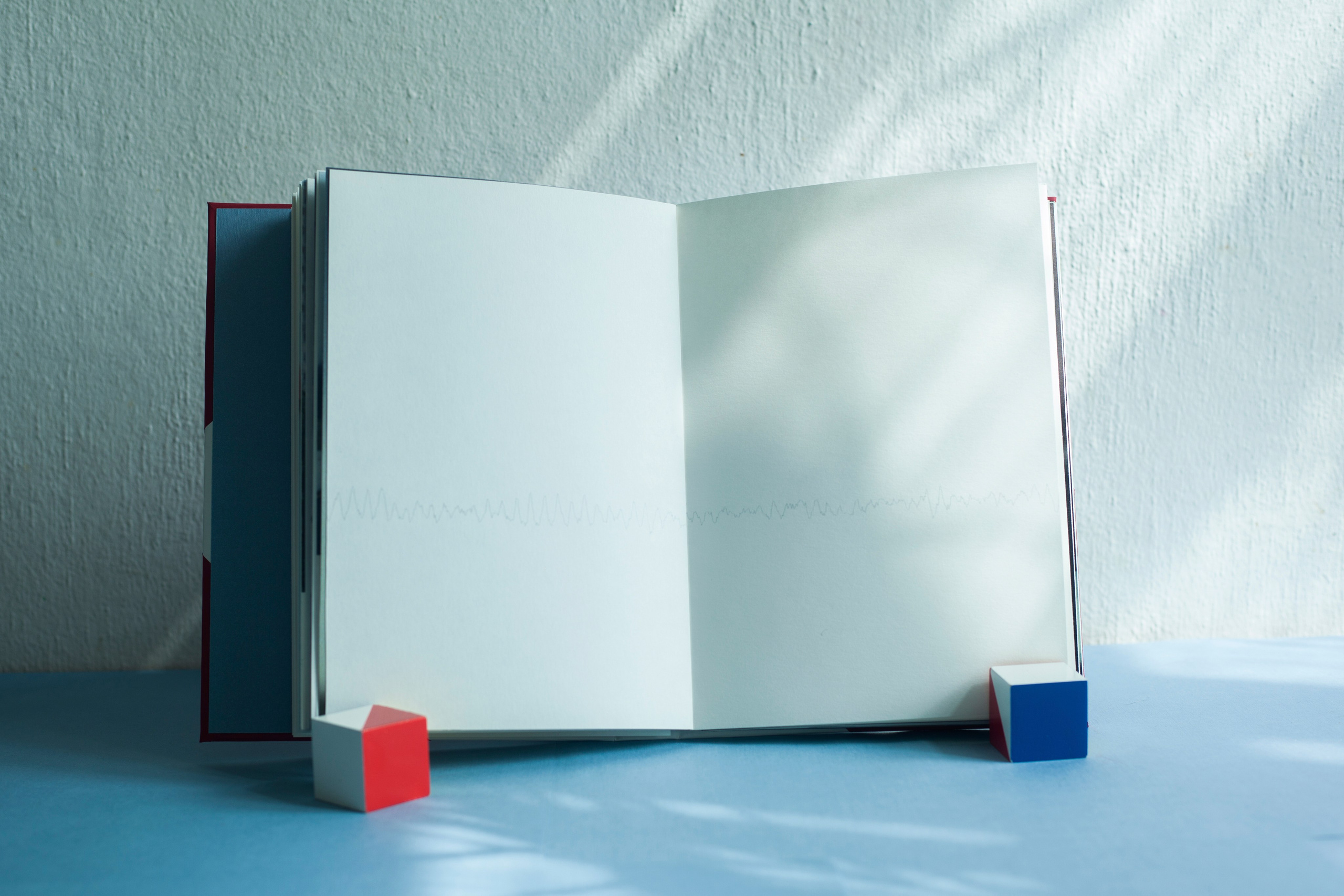 A book about the project. Aleksandra Mikhailova multimedia artist