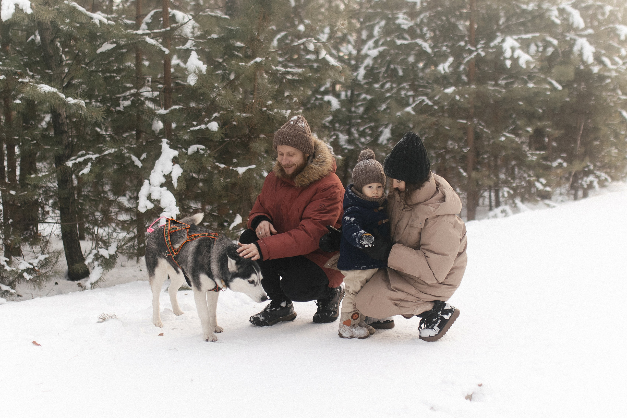 СЕМЬИ. Maria Startseva Photo