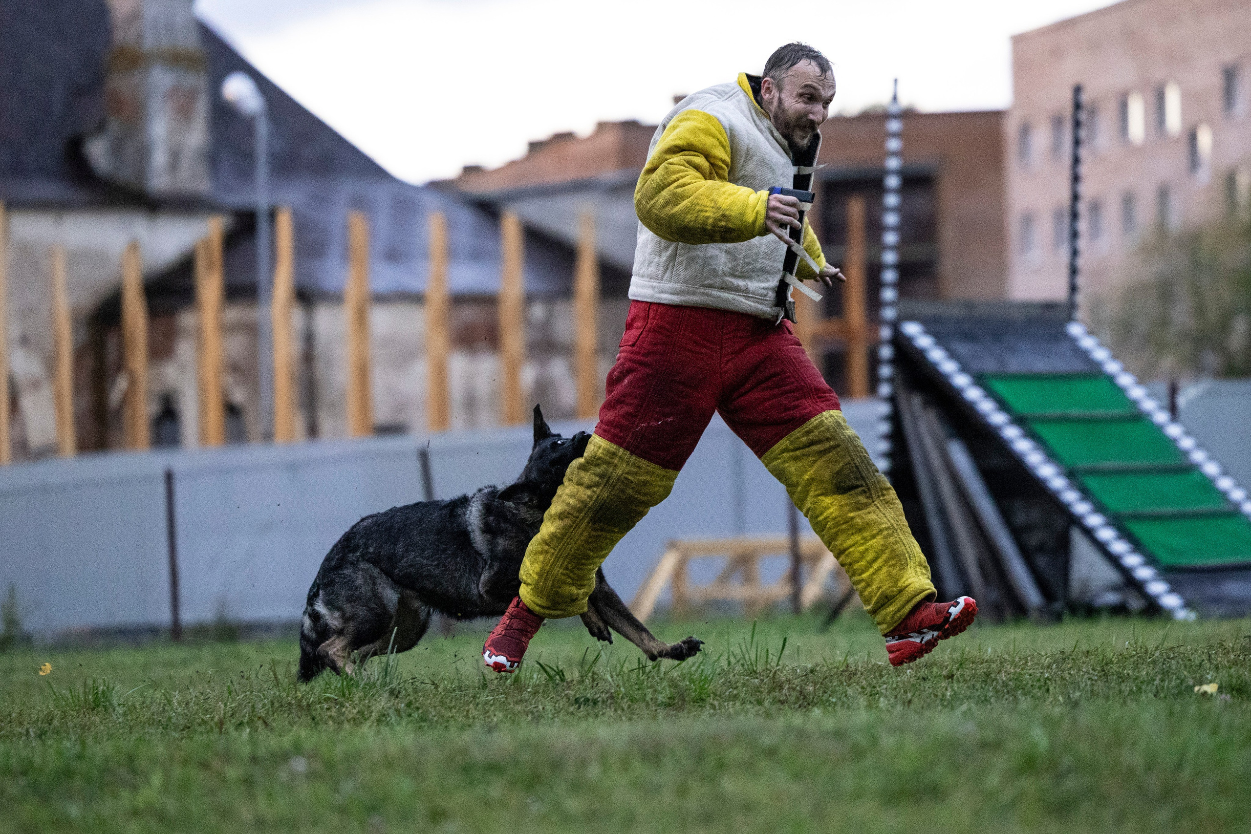 Испытания по Мондьорингу г. Пушкин. Фотограф-анималист Анна Маринич