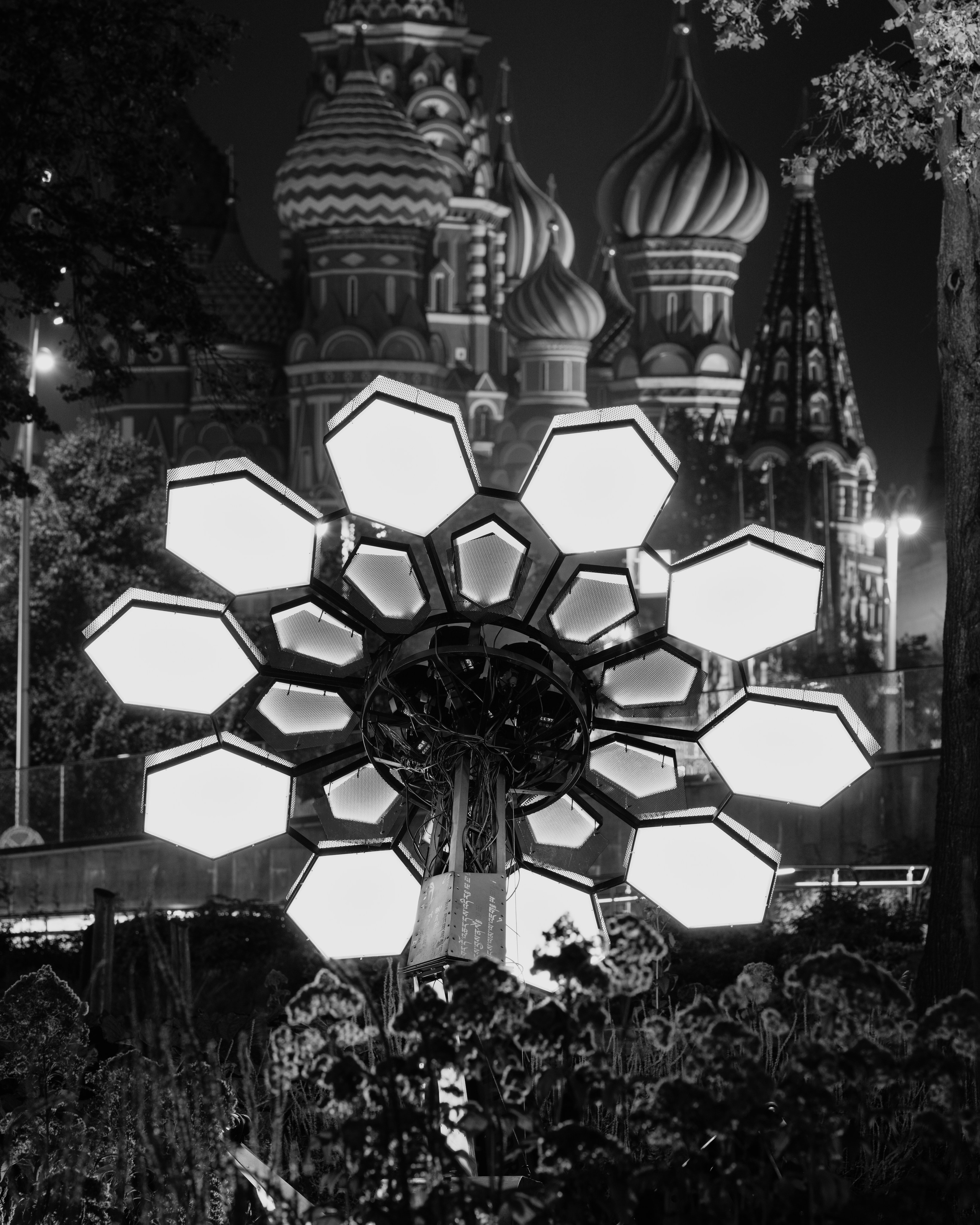 PANTERRA, Cyber Flower. @tomrus: Рустам Шагиморданов — фотограф