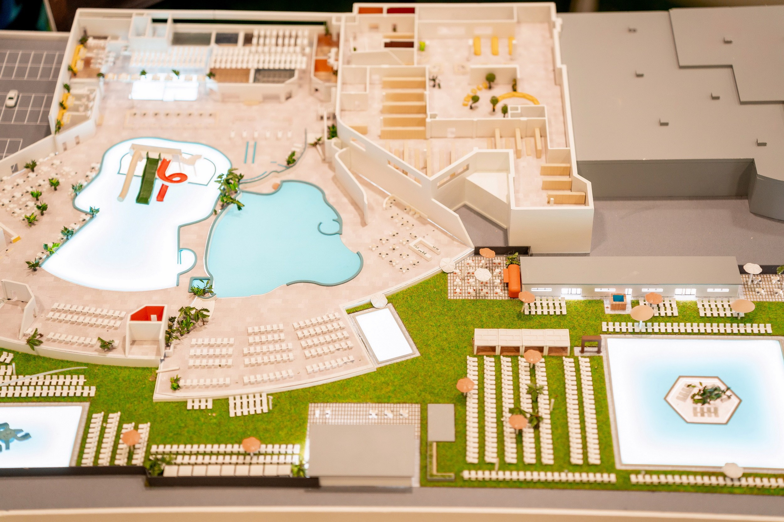 VI ММФ БРИКС 2024. Москва. Фотограф Сергей Лукьяненко