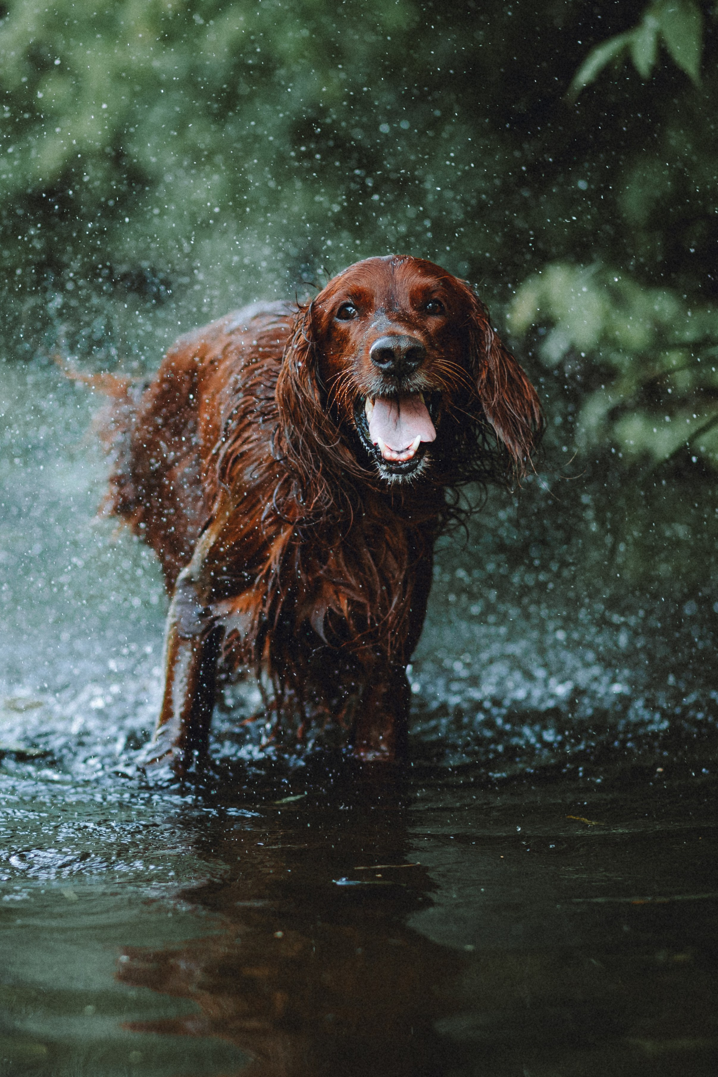 Маша и Джерри