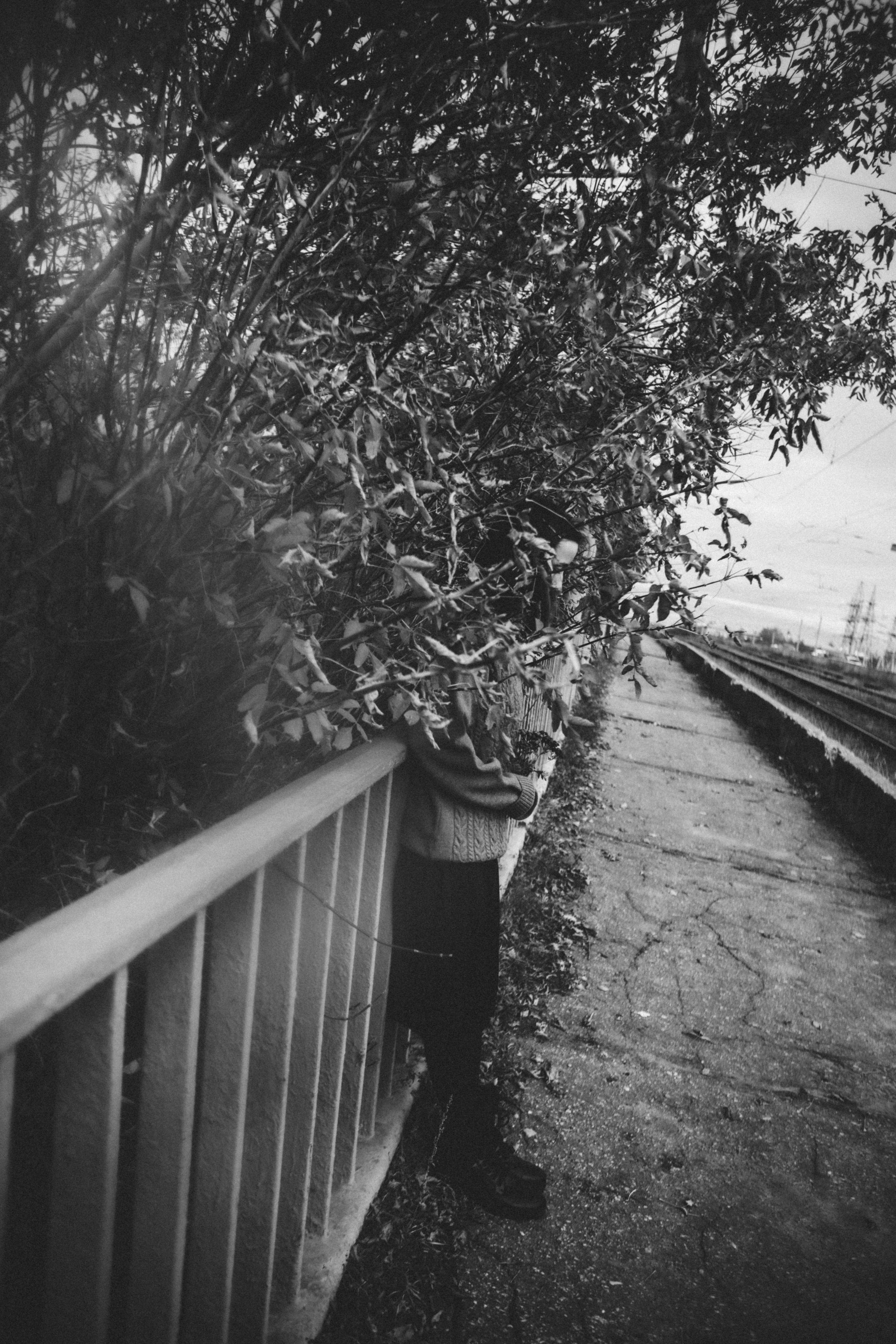 Лейтмотив осени. Аня. Фотограф в Нижнем Новгороде