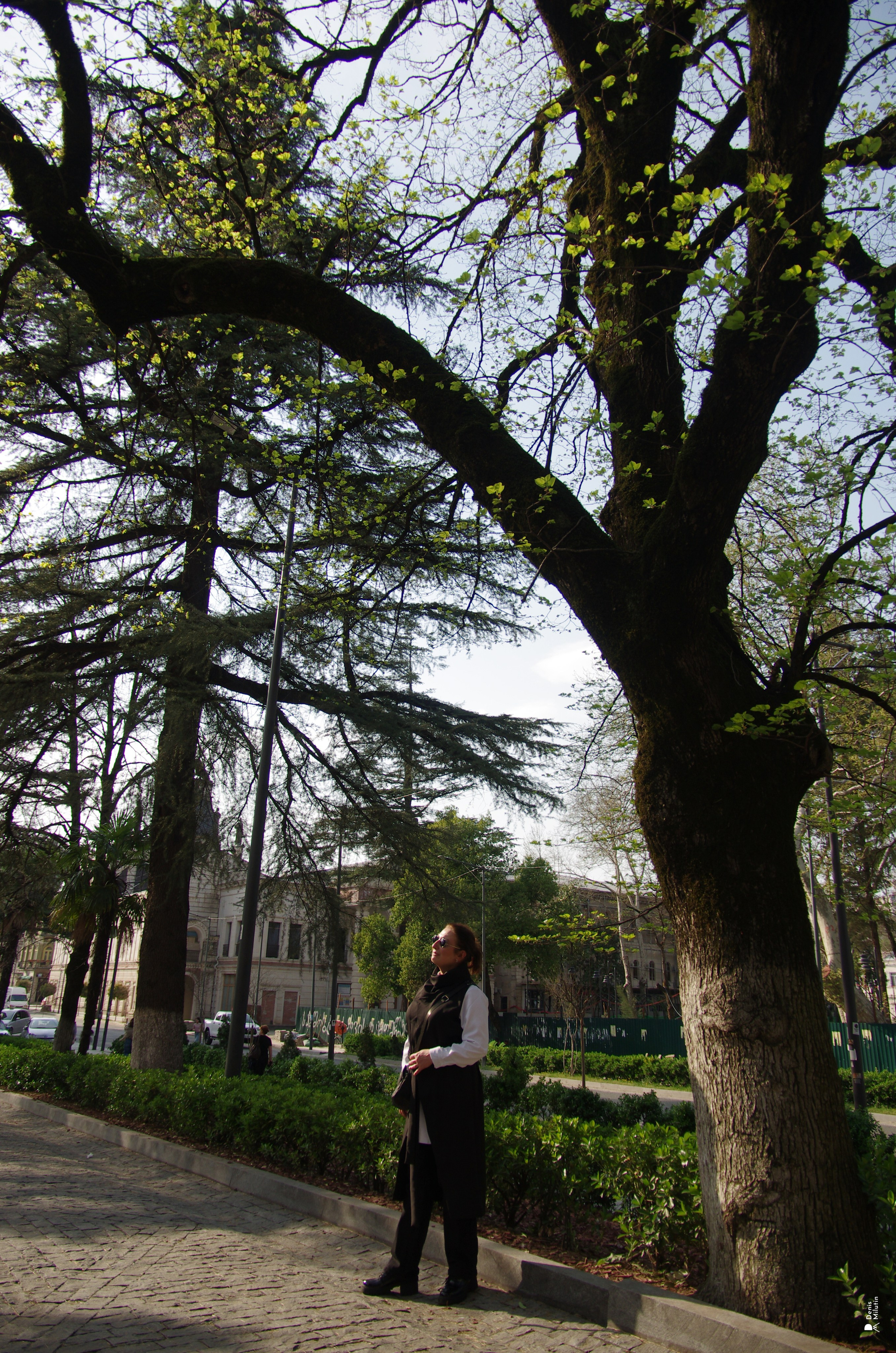 Элен в Кутаиси. Портретный фотограф Денис Милютин