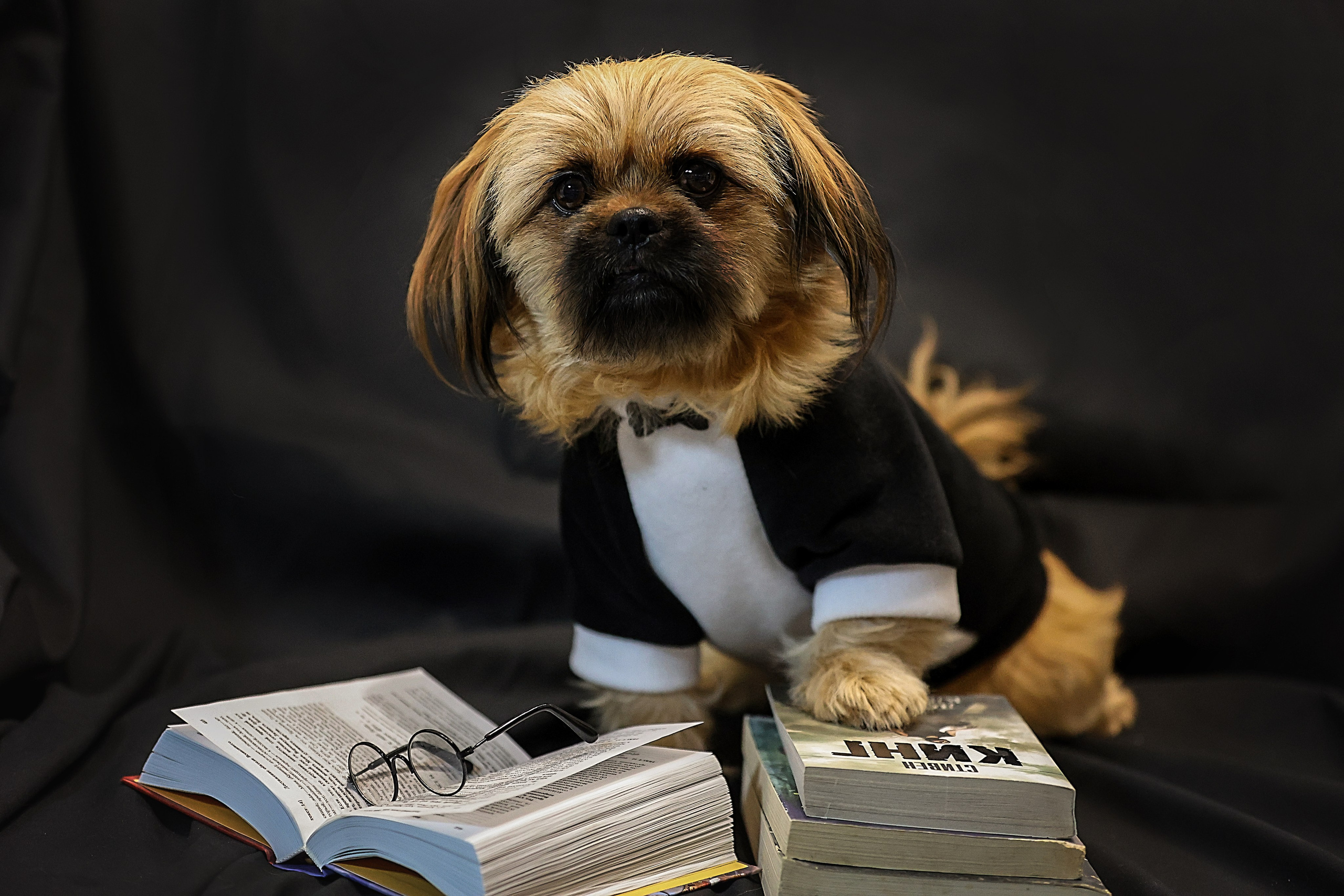 В СТУДИИ. Фотограф-АниМалист Анна Абрамова