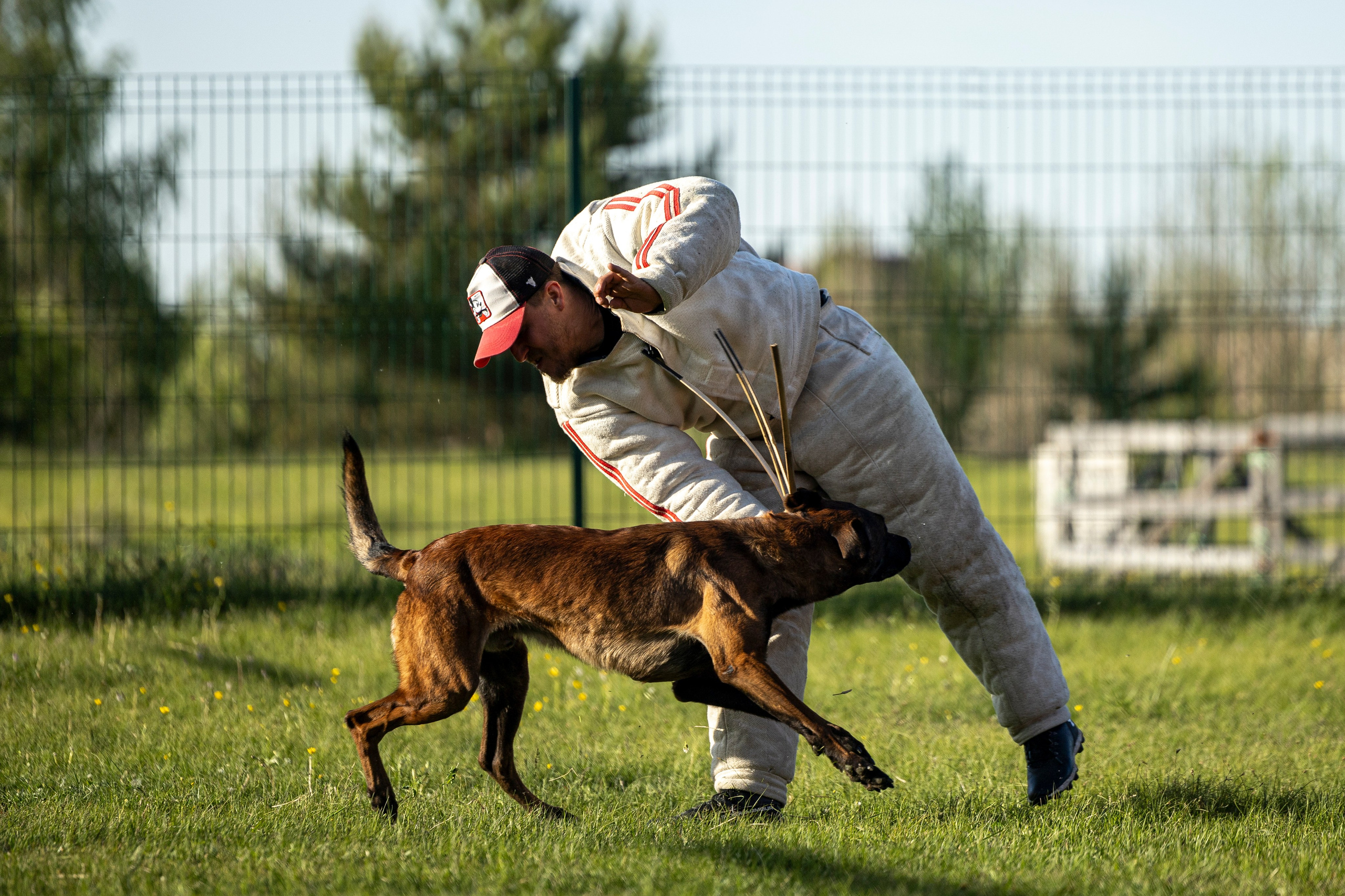 Испытания по мондьорингу в Нижнем Новгороде. Фотограф-анималист Анна Маринич