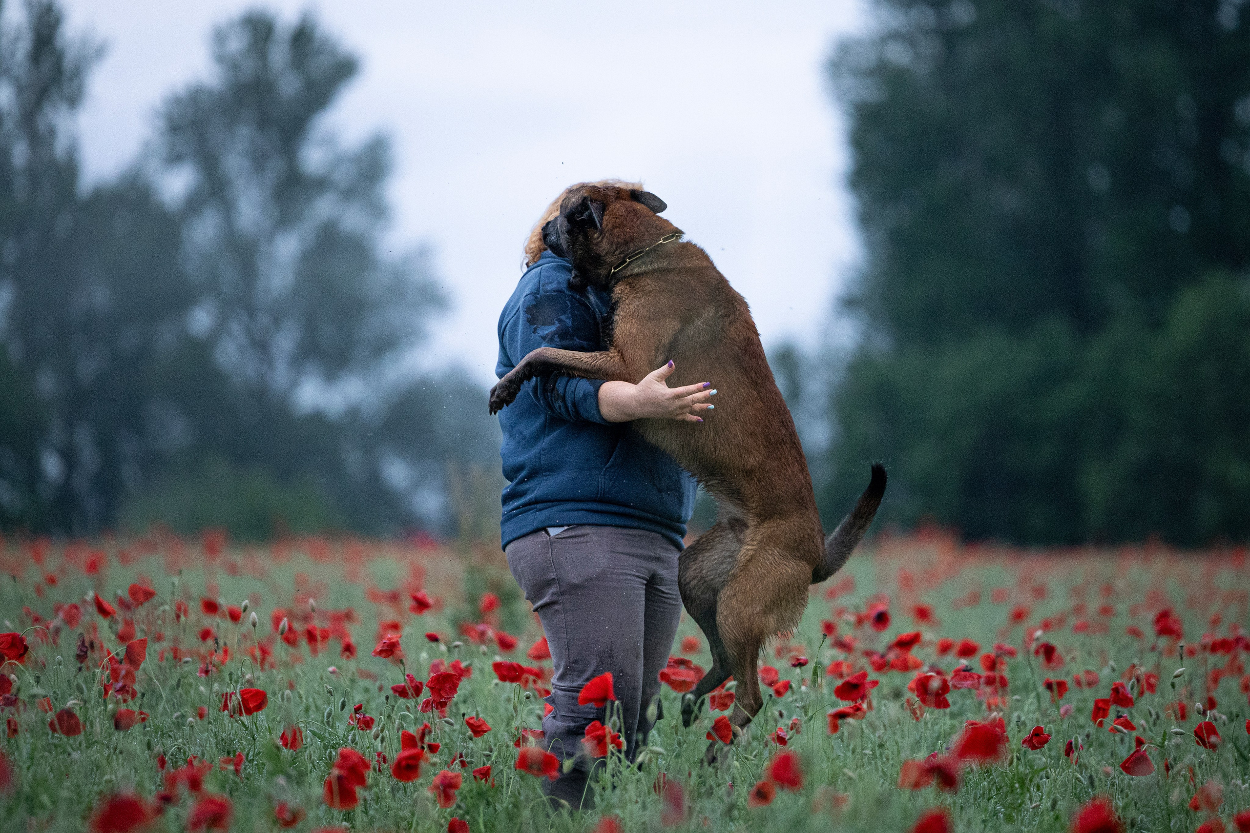 Маковое поле. Фотограф-анималист Анна Маринич
