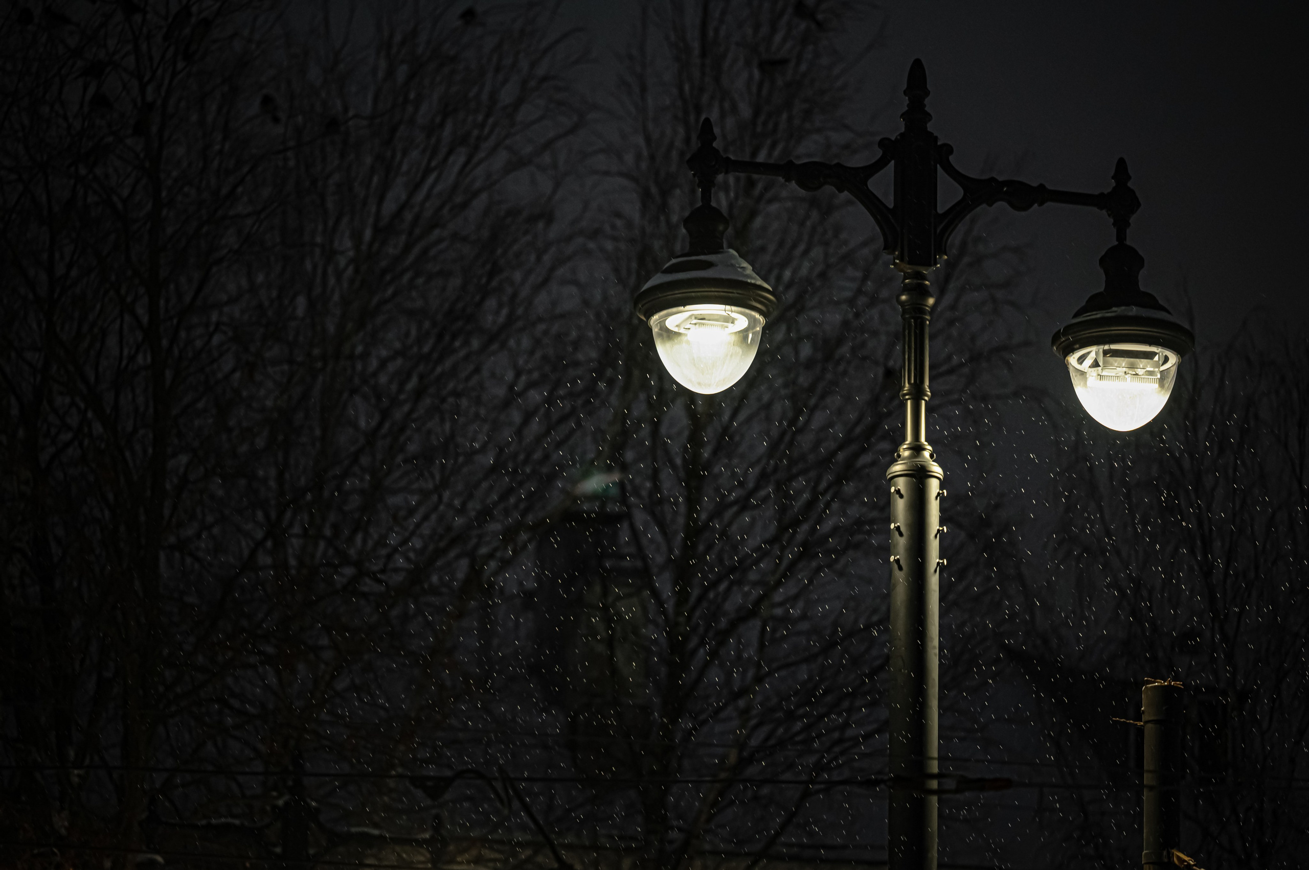 Снегопад. Репортажный фотограф