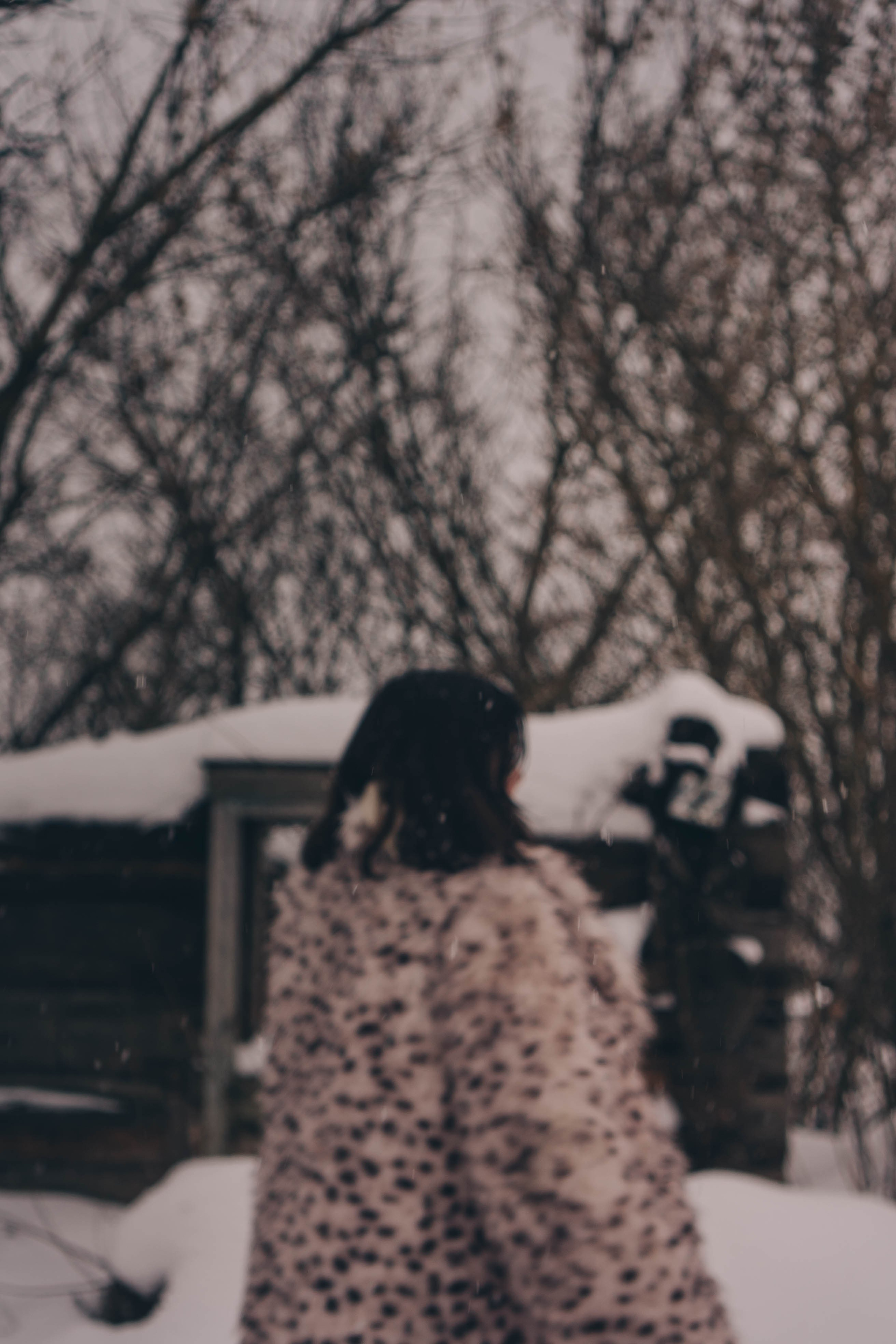 Деревня. Профессиональный фотограф, Санкт-Петербург — Виктория Богомолова