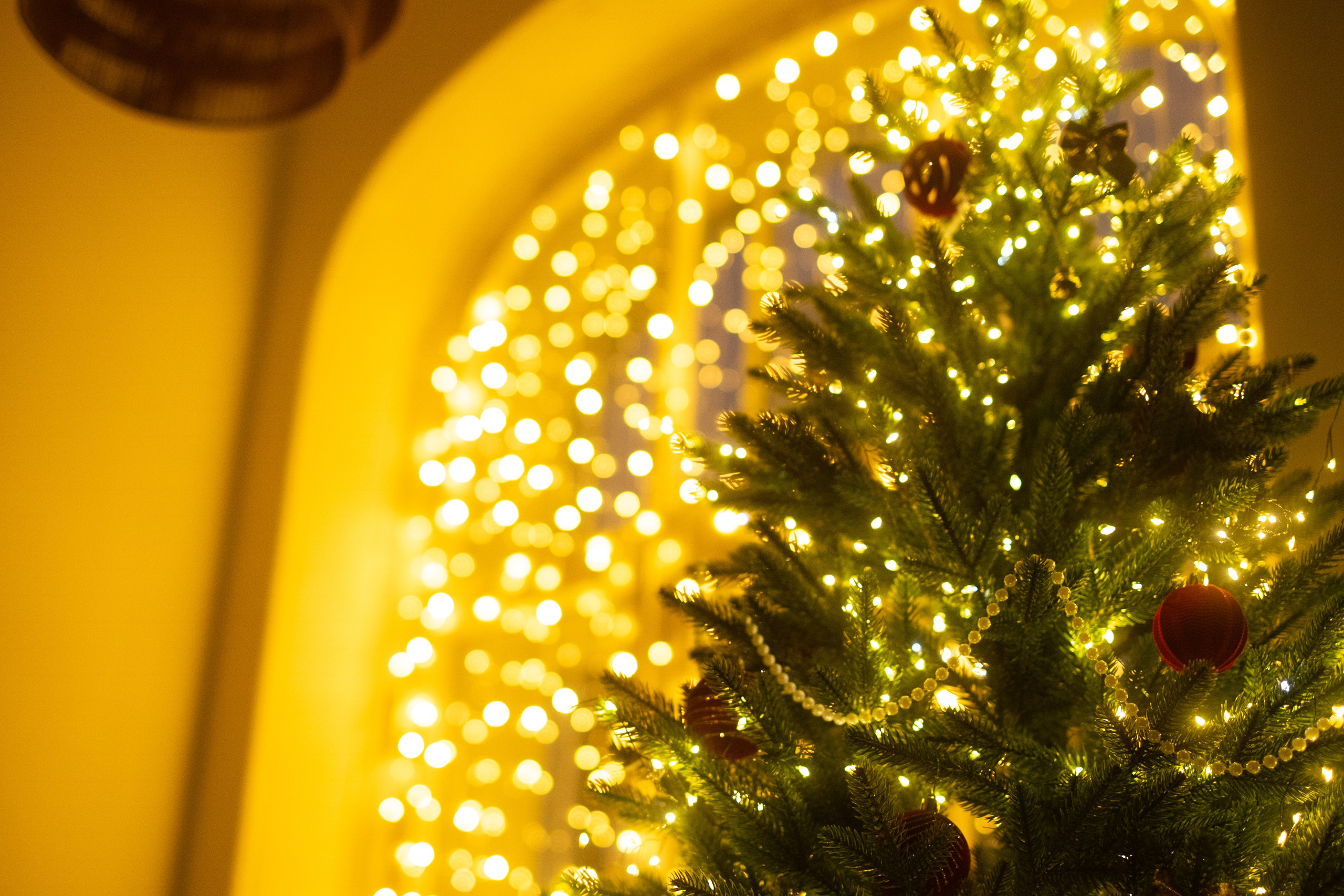 Живая Студия. Фототерапия «Пульс СЧАСТЬЯ»