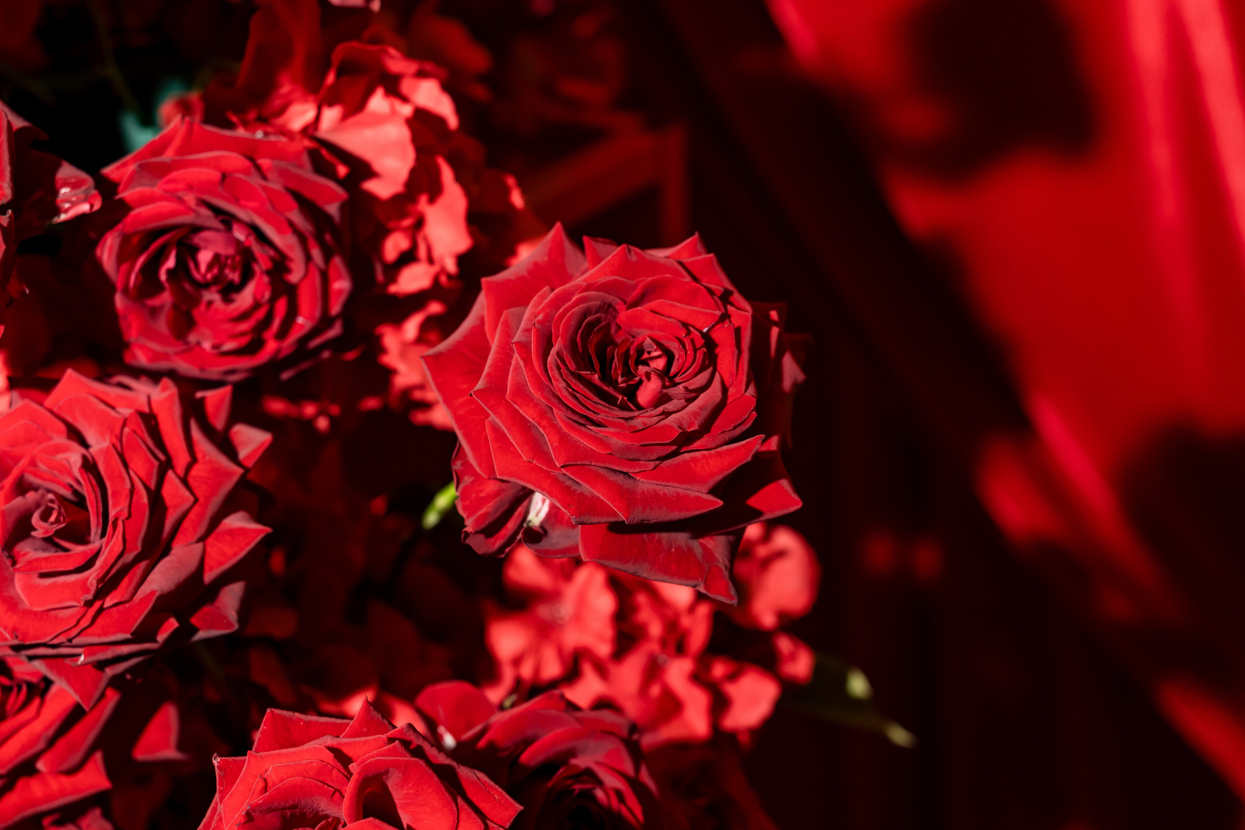 День рождения Positive community. 01.11.24