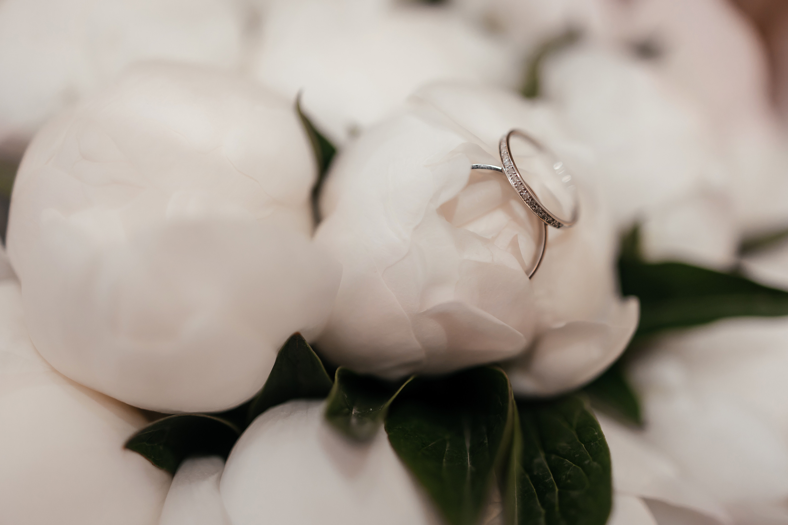 Миша и Настя СПБ♥. Свадебный фотограф в Москве