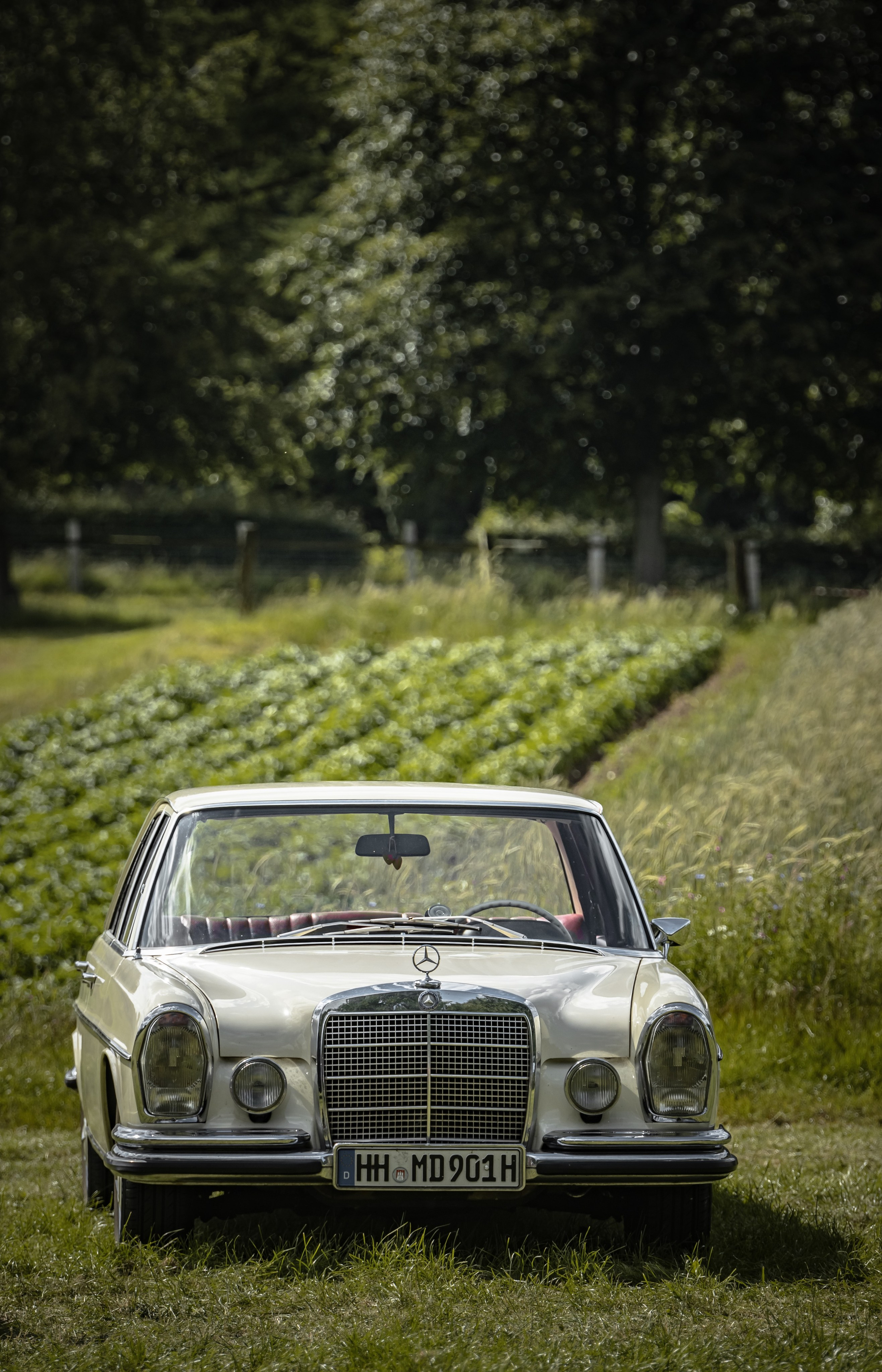 CARS. NE Cinema — backstage and reportage photography in cinema, music, Automotive and sport