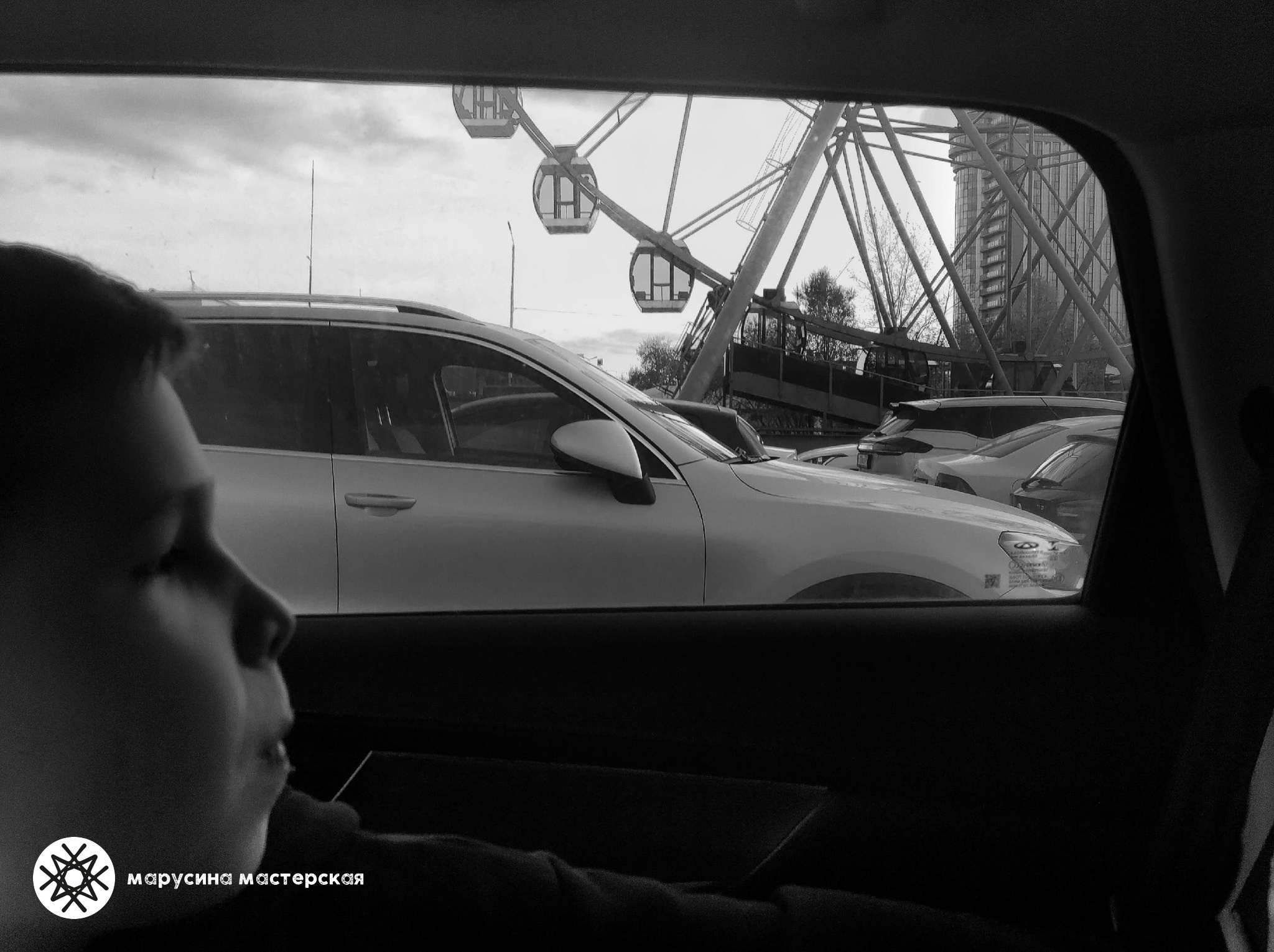 Светлана Макурина