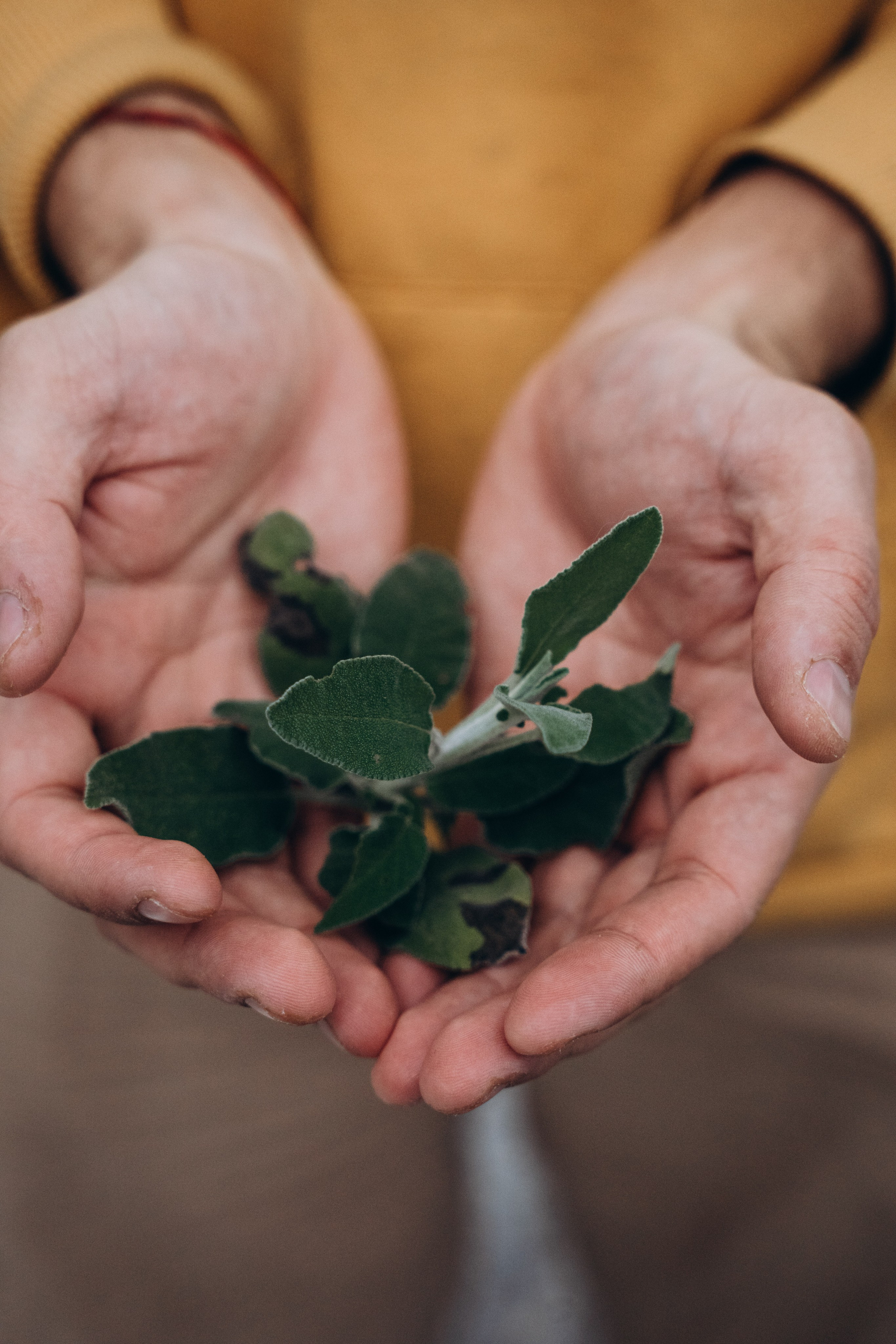 Пили, Кос 🇬🇷. Anita_photo