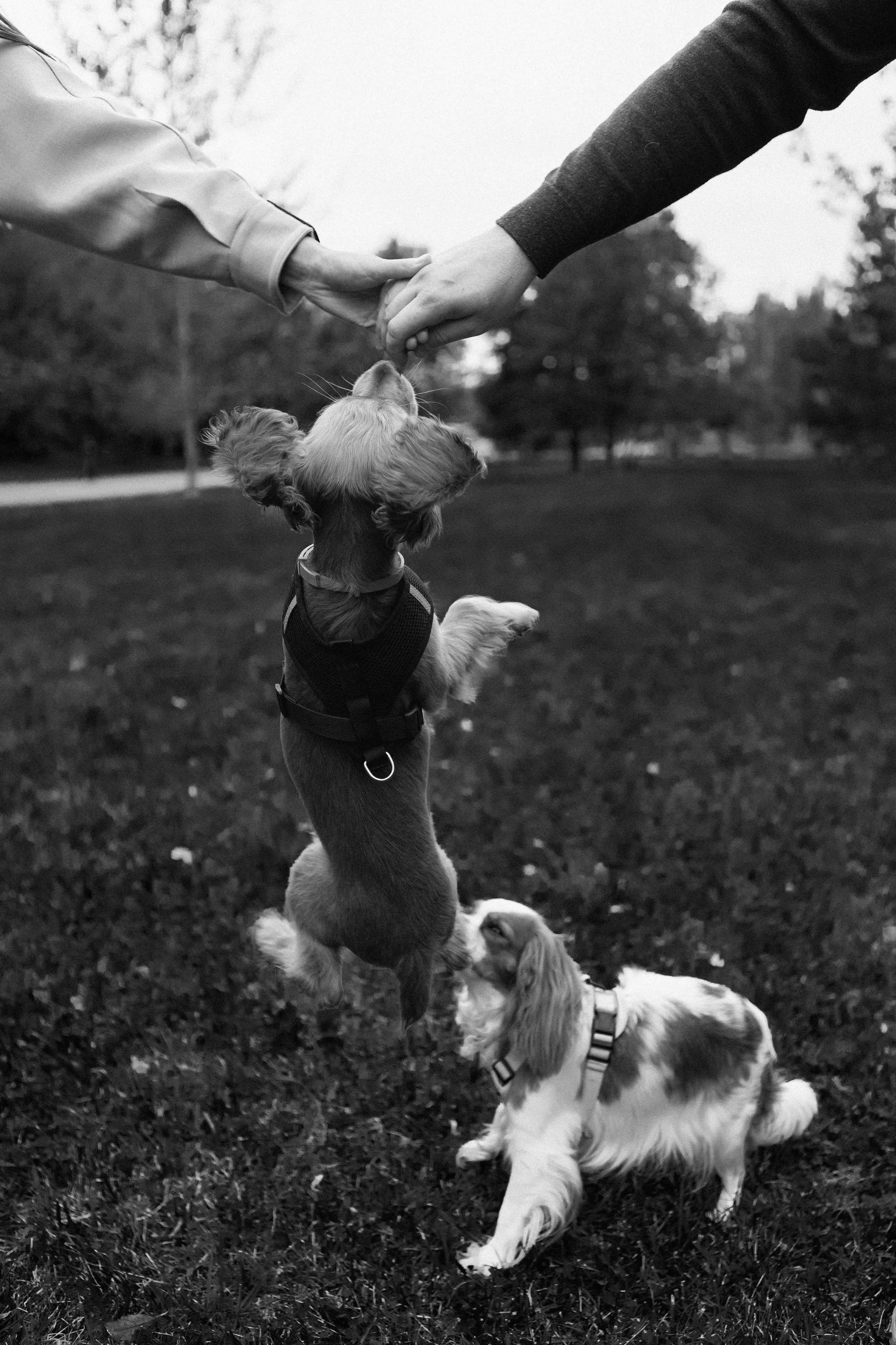 Лавстори. Портретный фотограф в Москве Анастасия