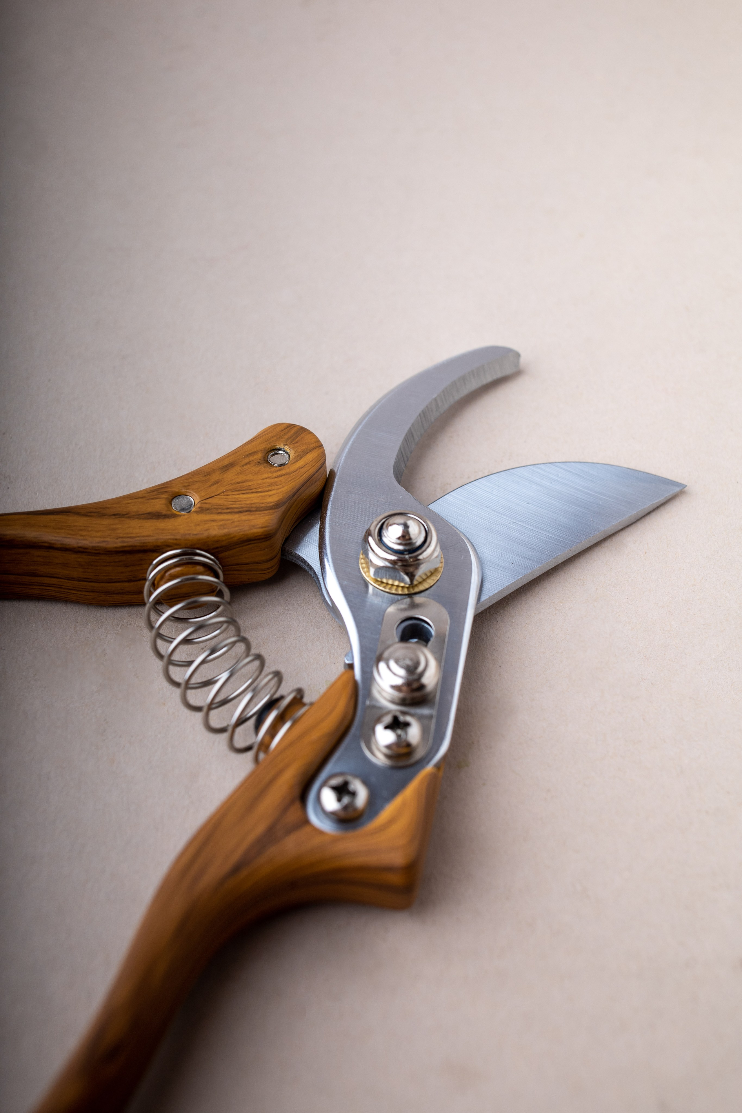 Секатор «RORAEGORA». Предметный & фудфотограф Рязань