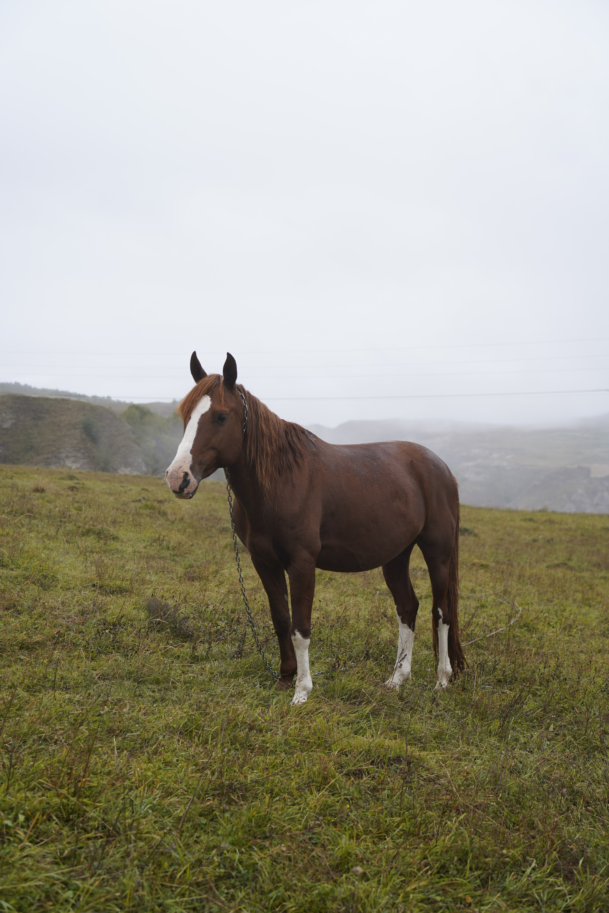 Дагестан. Главная