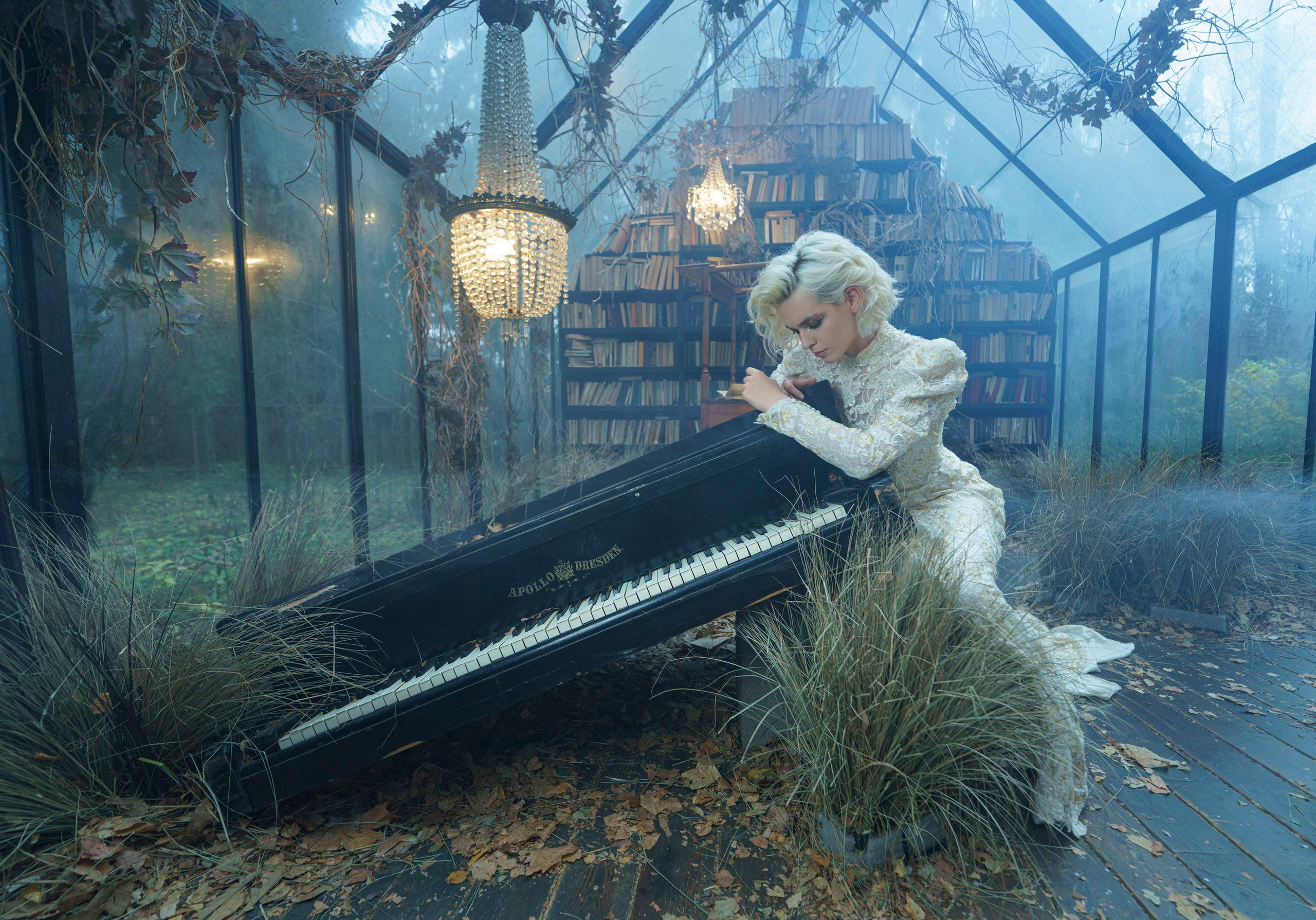 Библиотека. Фотограф Сергей Танков