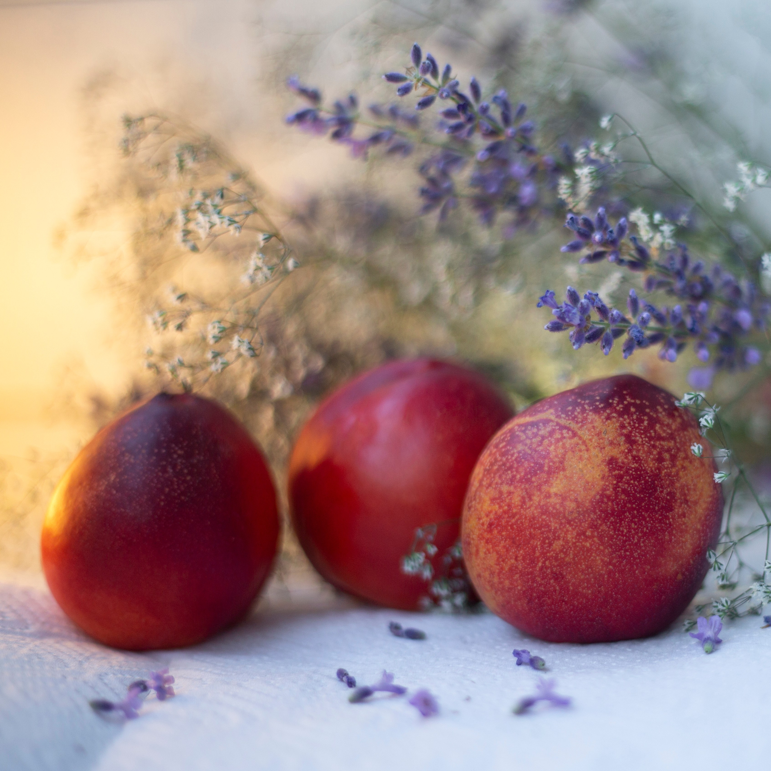 Просто красиво. Детский и семейный фотограф Барнаул Татьяна Губанова