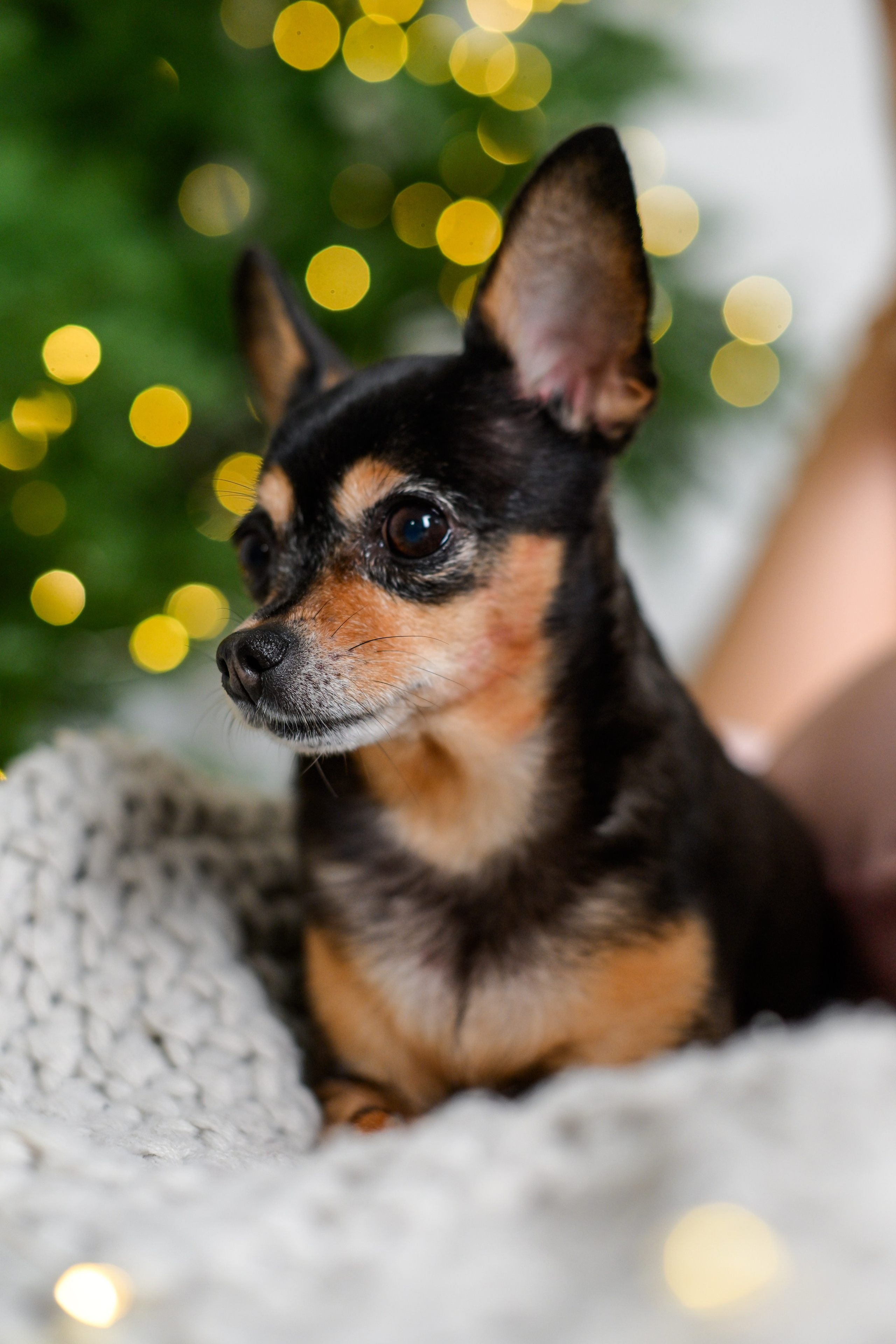 Катюша и Елена