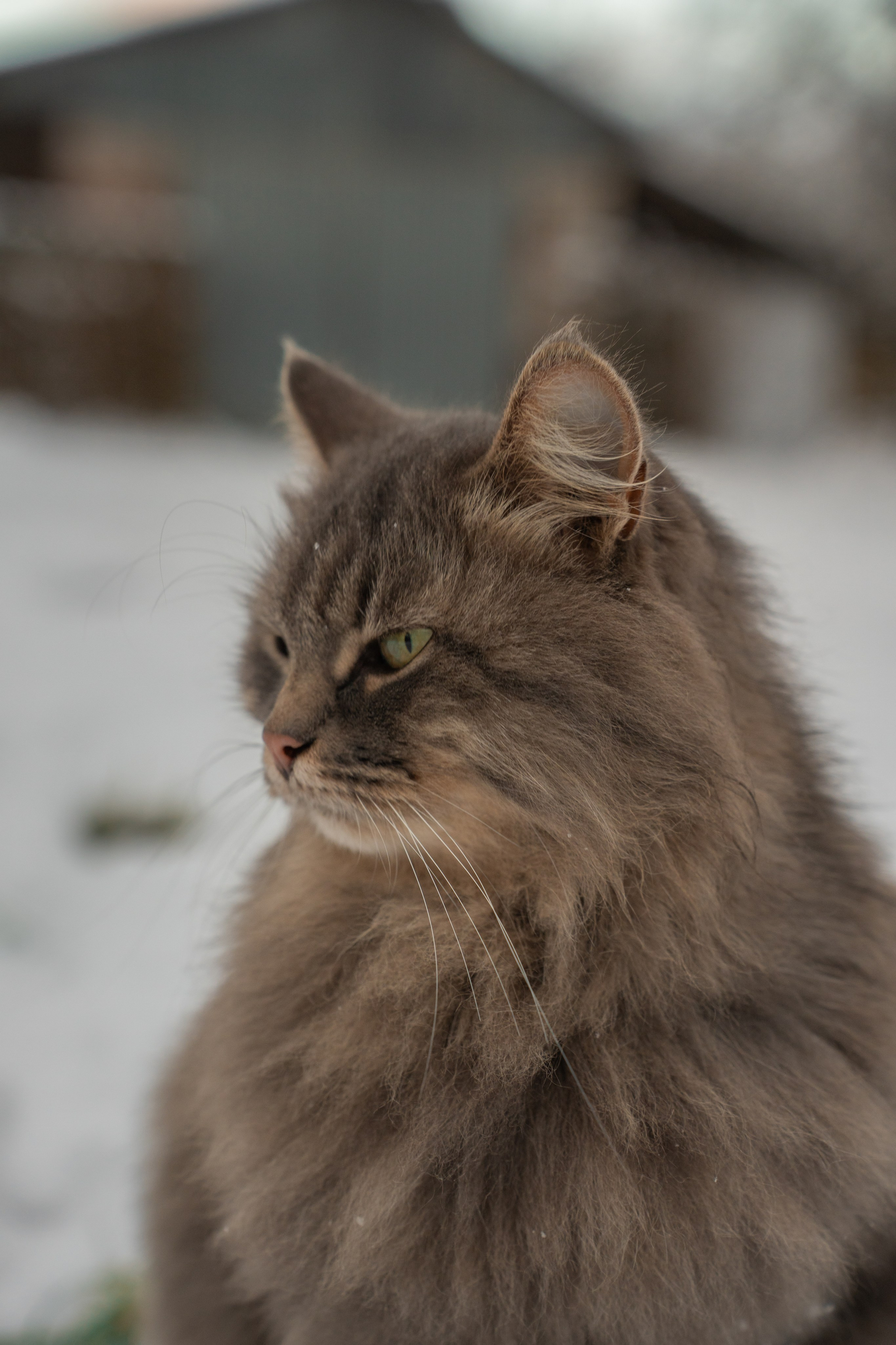ATMOSPHERE. Фотограф Юрина Ксения Москва