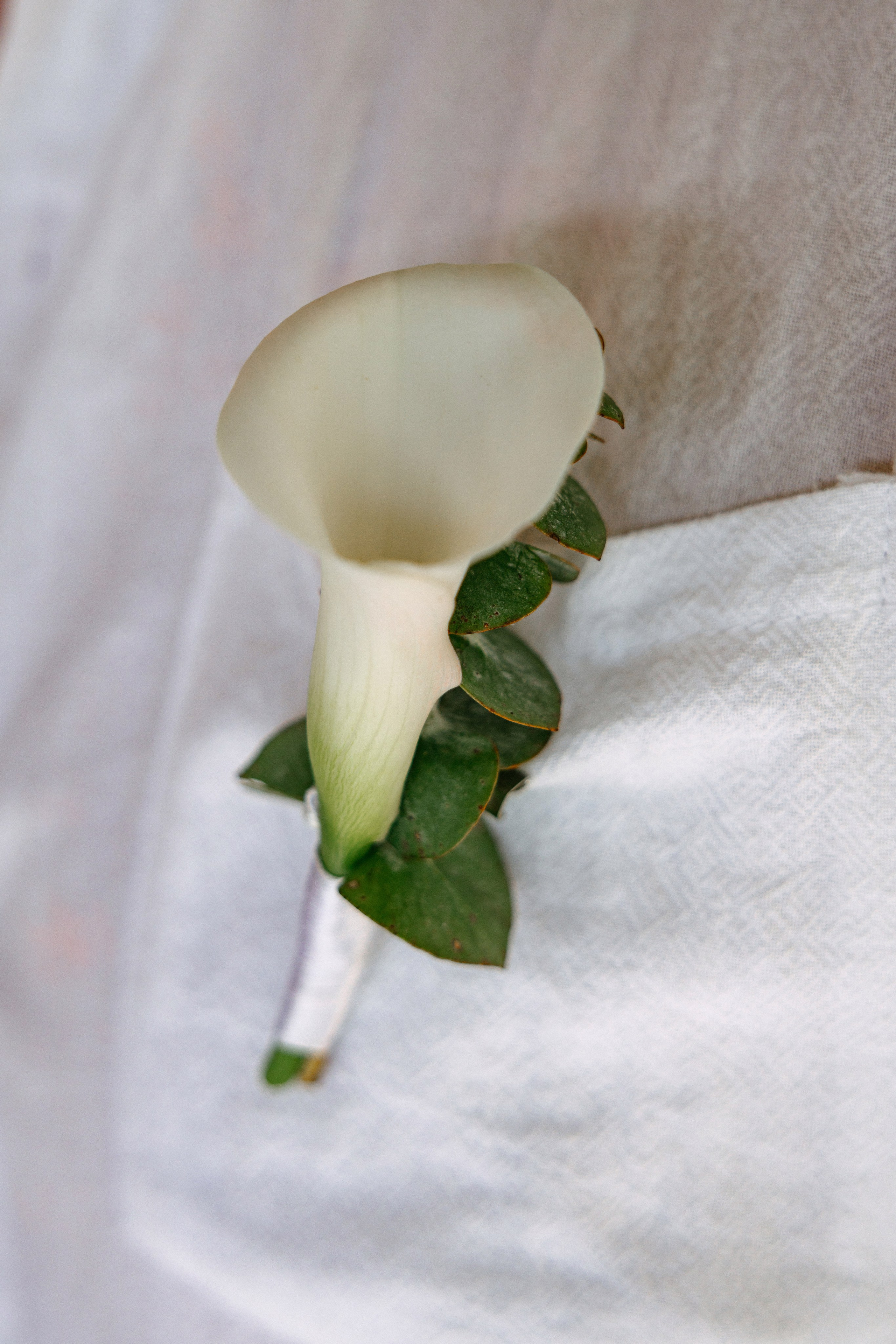 Darina & Anton. Профессиональный фотограф Нурмиева Вероника