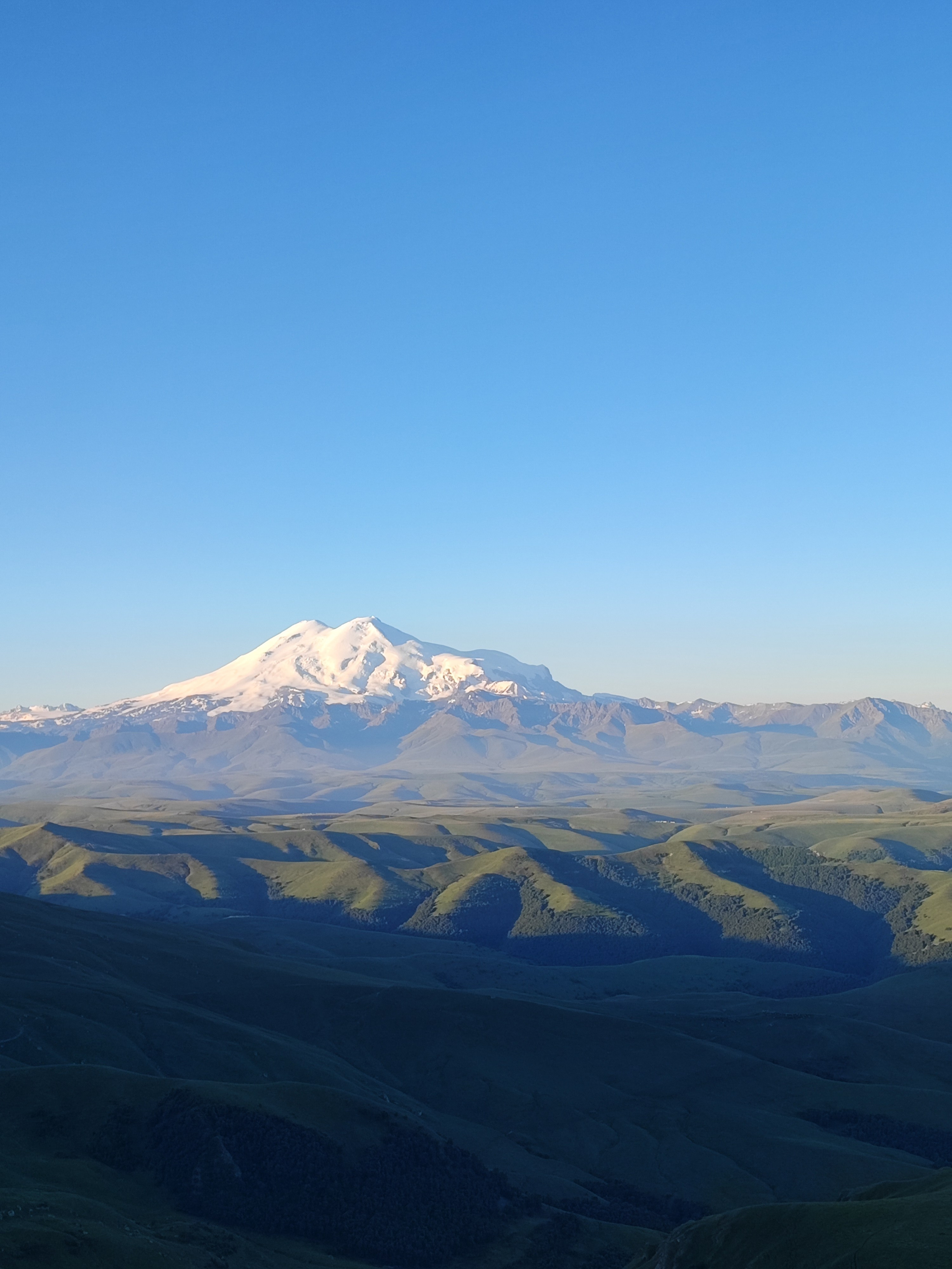 Намобилкус кавказский. Репортажный фотограф Алексей Пирязев