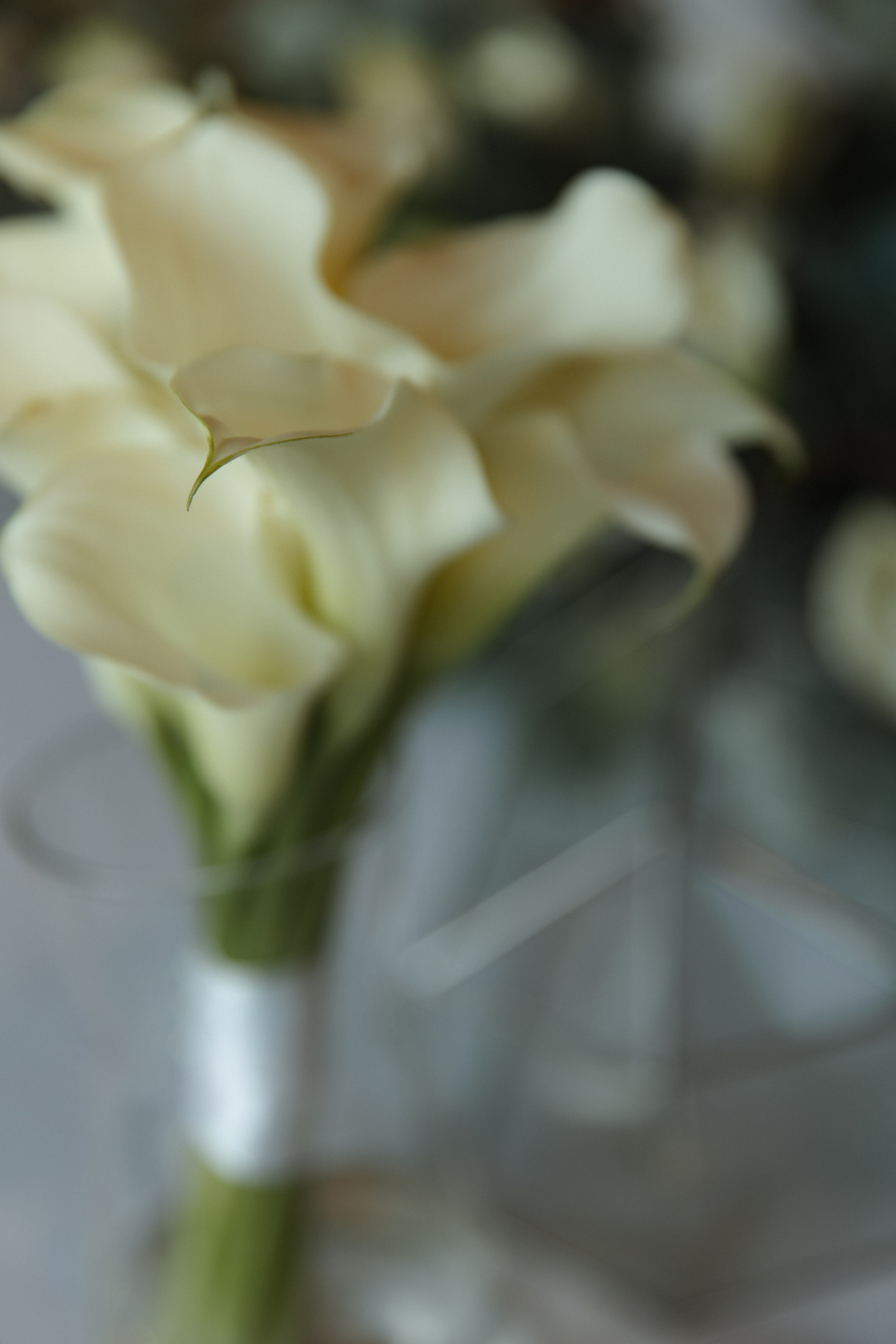 Свадебный анонс. Свадебный фотограф Кузнецова Ольга Санкт-Петербург, Вологда, Череповец