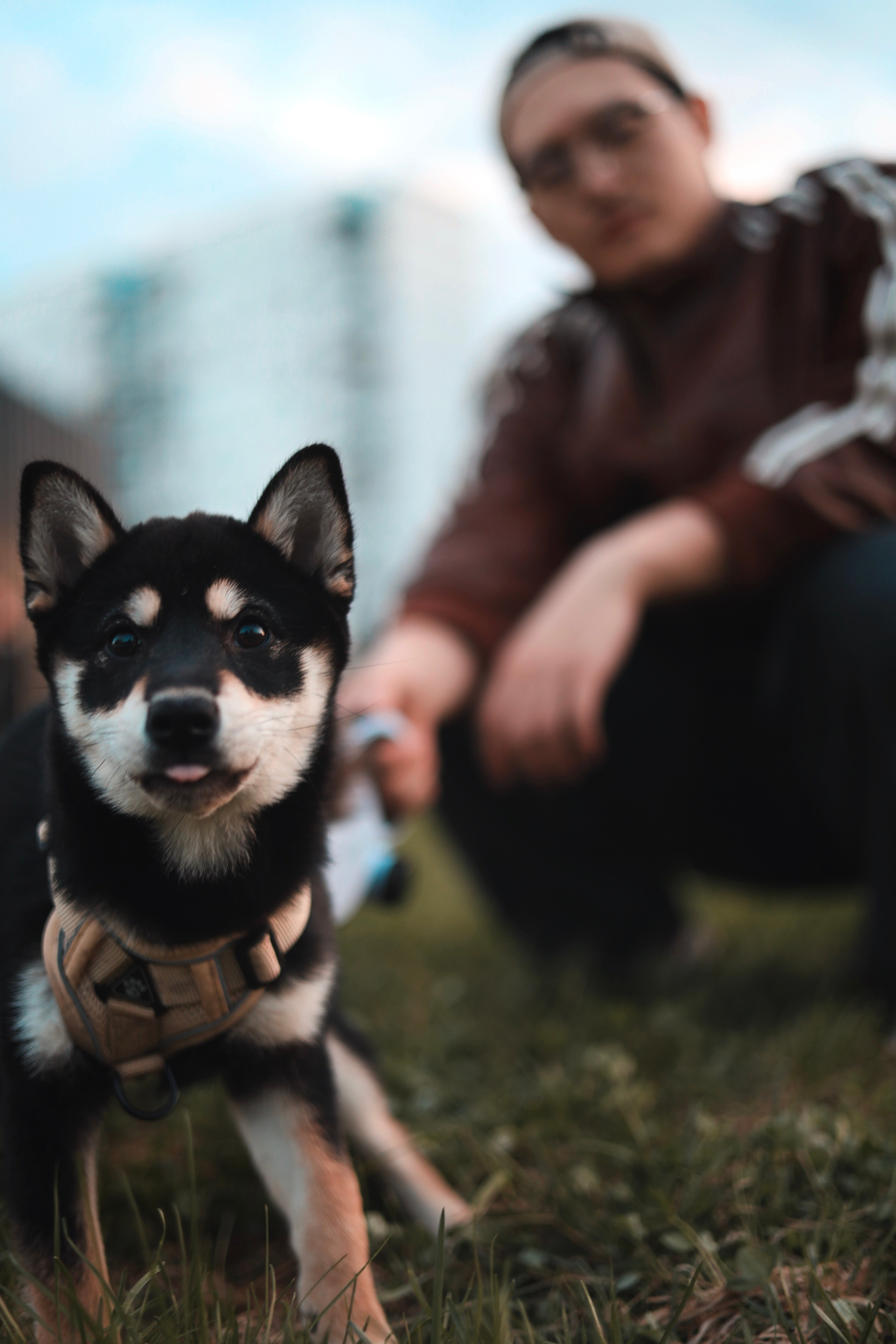 Puppy. Фотосессии в Москве и Санкт-Петербурге, а также по столицам стран Евро