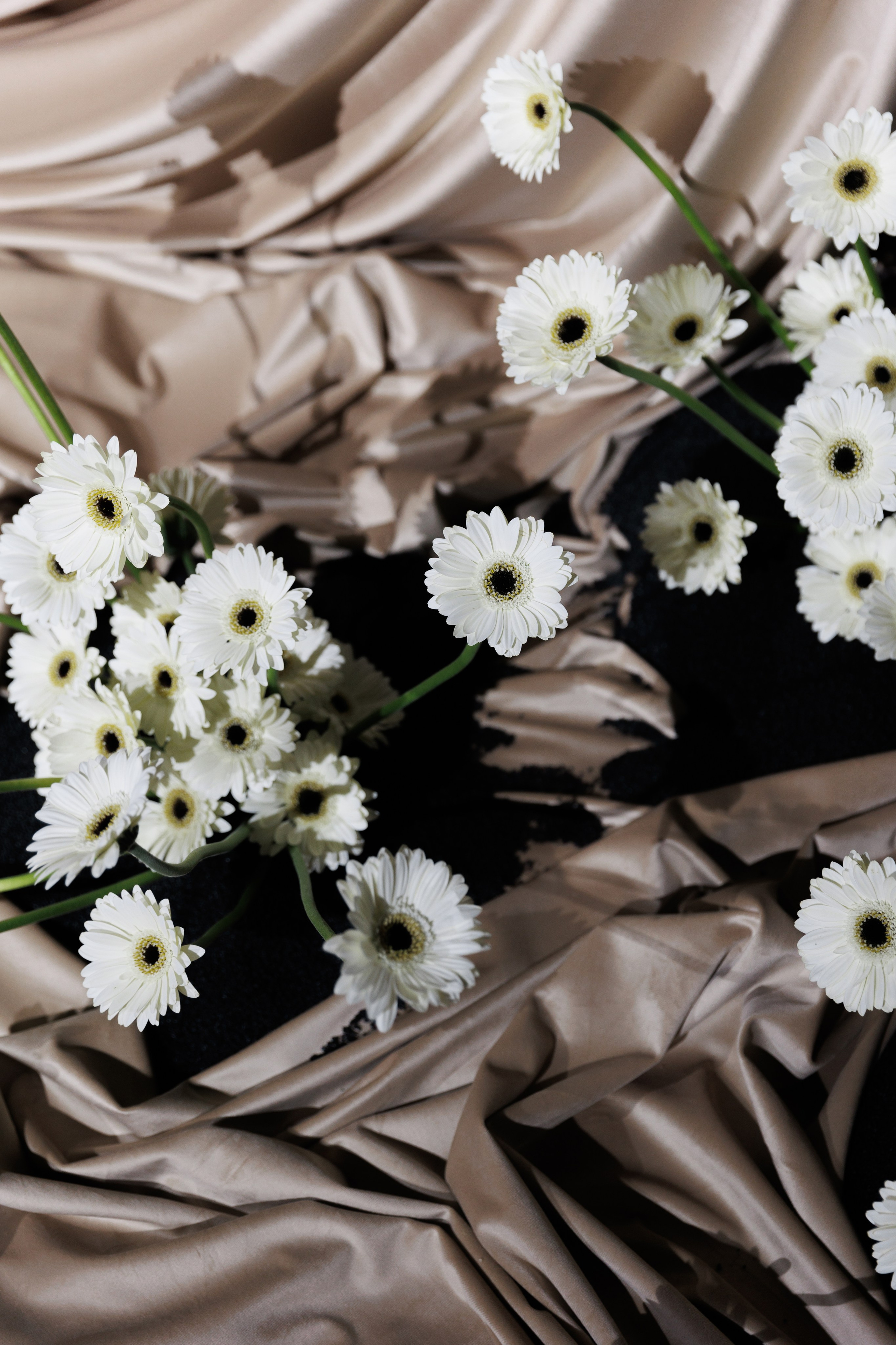 П & A. Свадебный фотограф Екатерина Тимукина