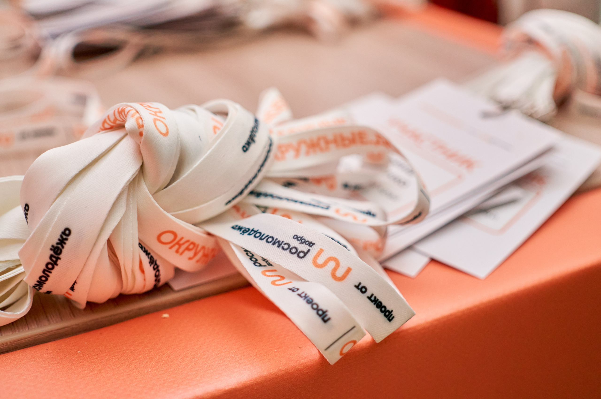 Окружной форум добровольцев СФО и&nbsp;ДФО