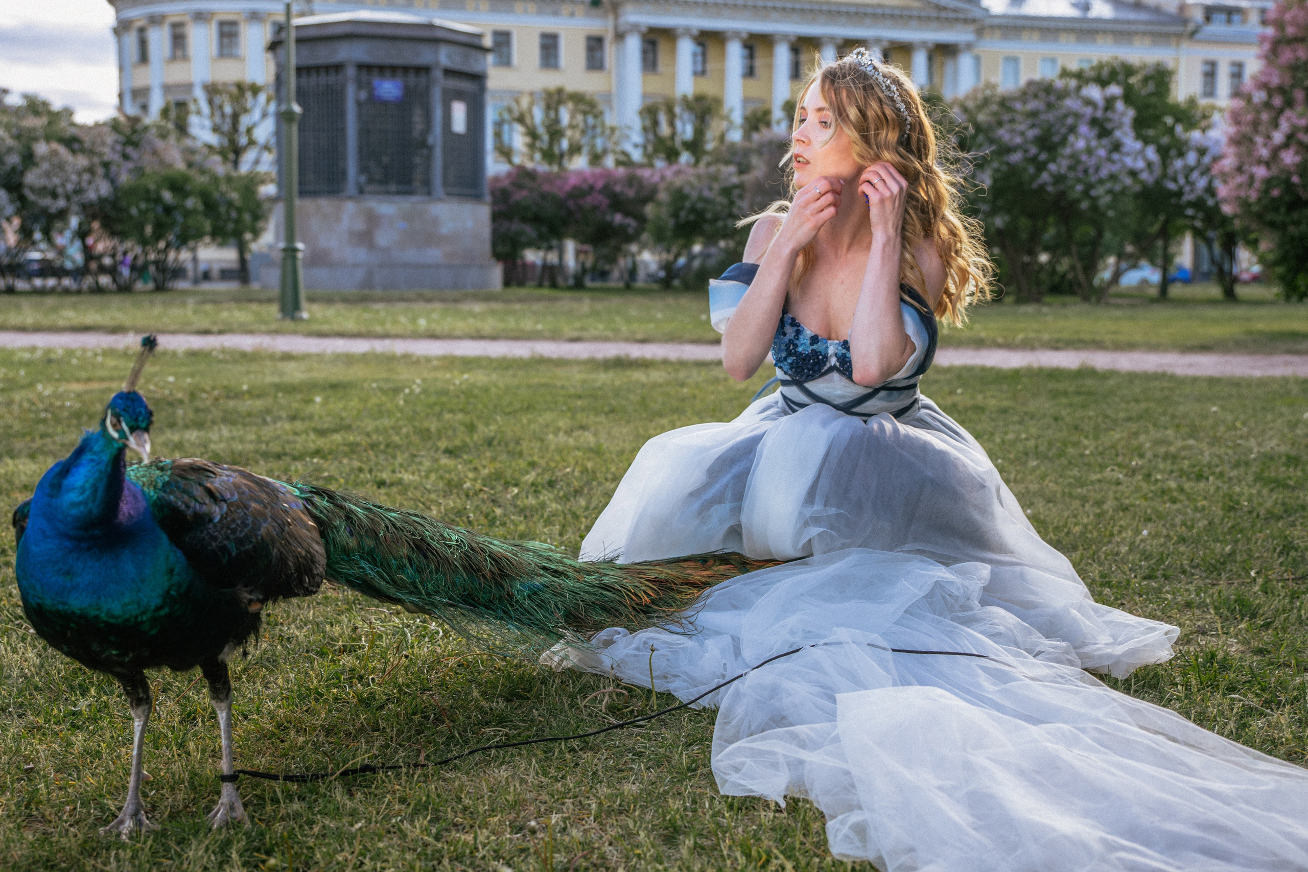 Павлин. Elena Sova — семейный и женский фотограф в Санкт-Петербурге
